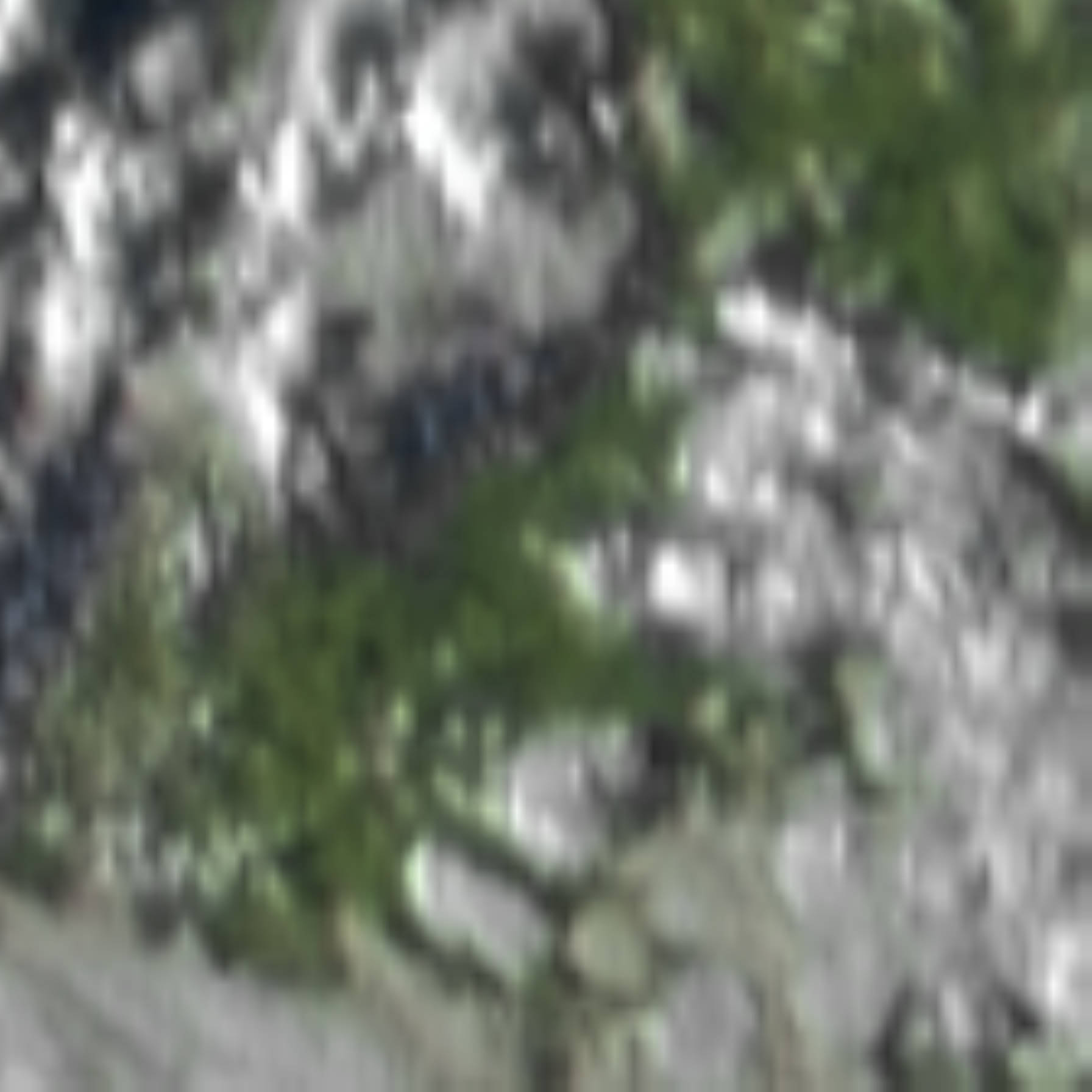 satLayer