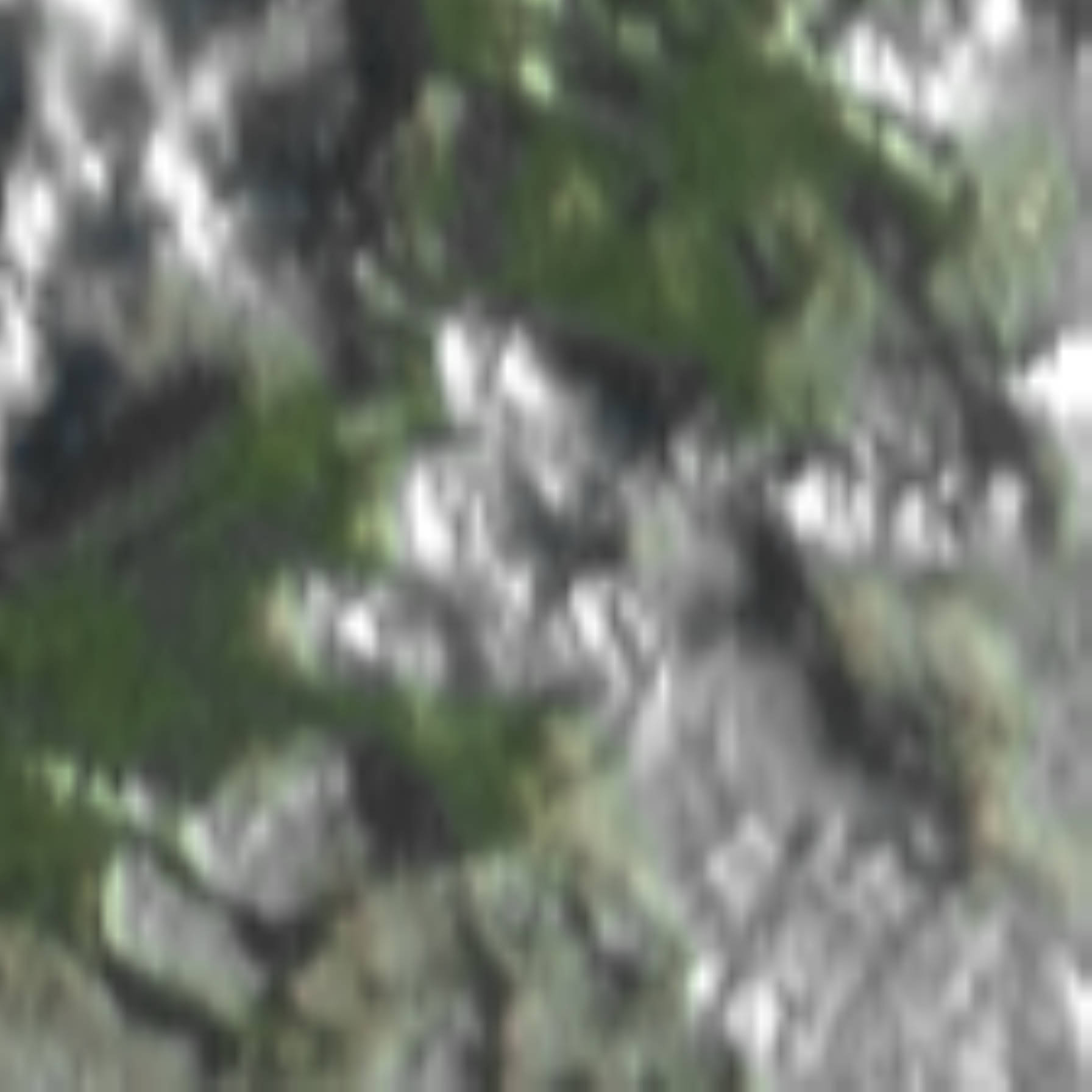 satLayer