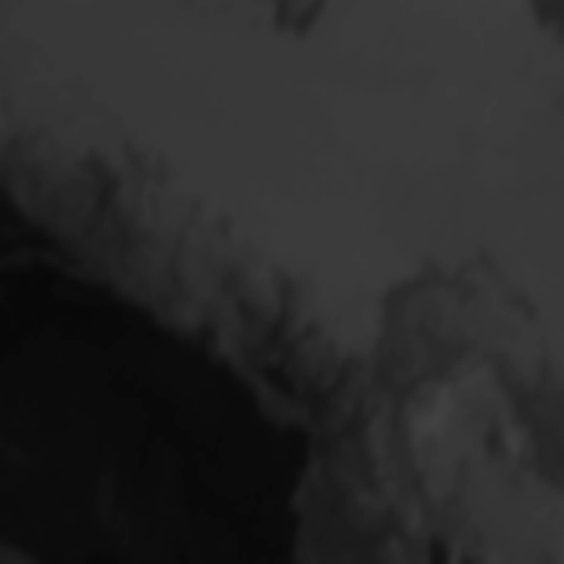 satLayer