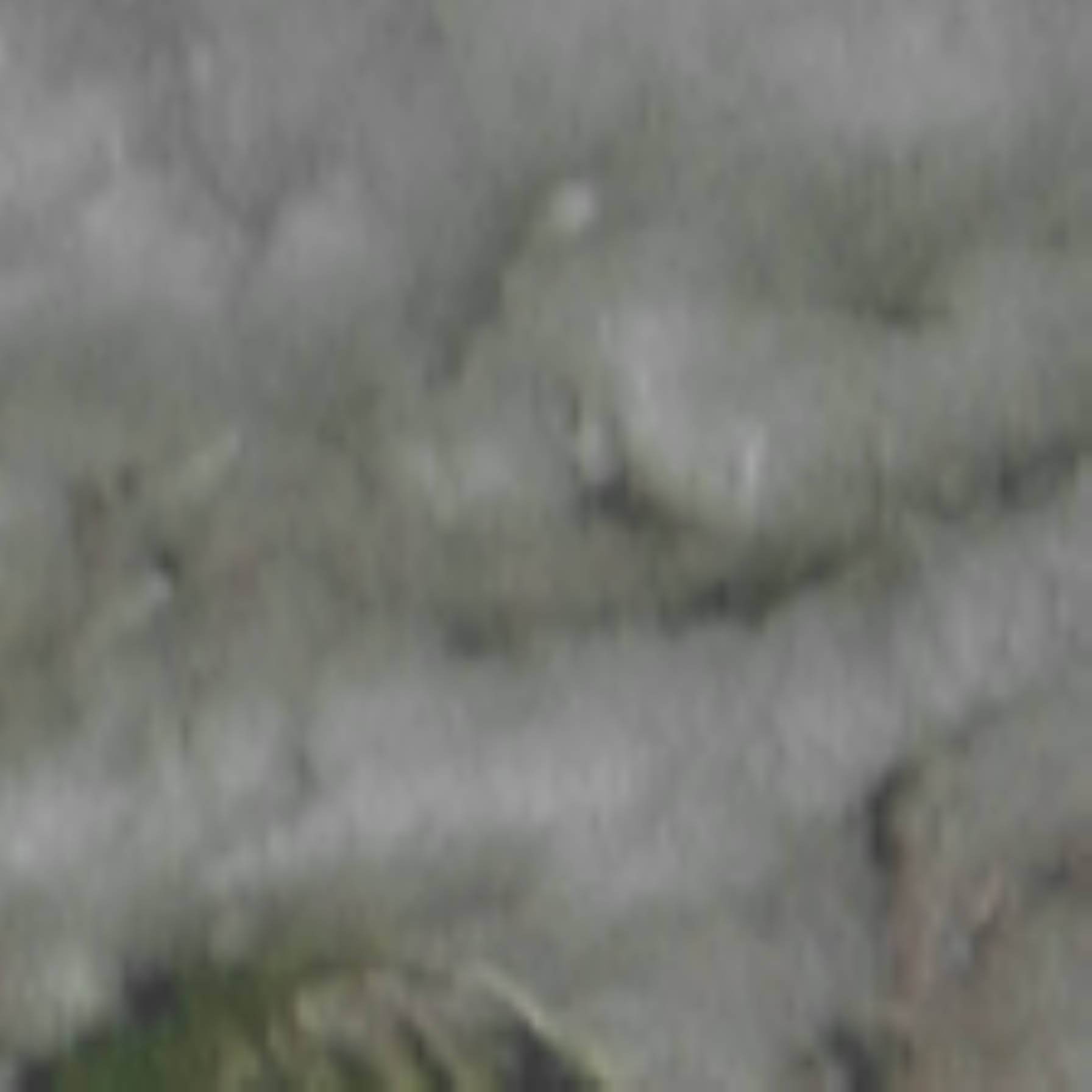 satLayer