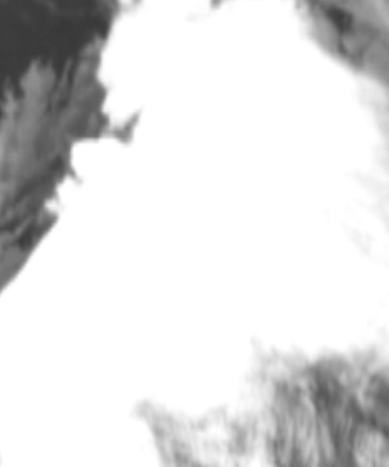 satLayer