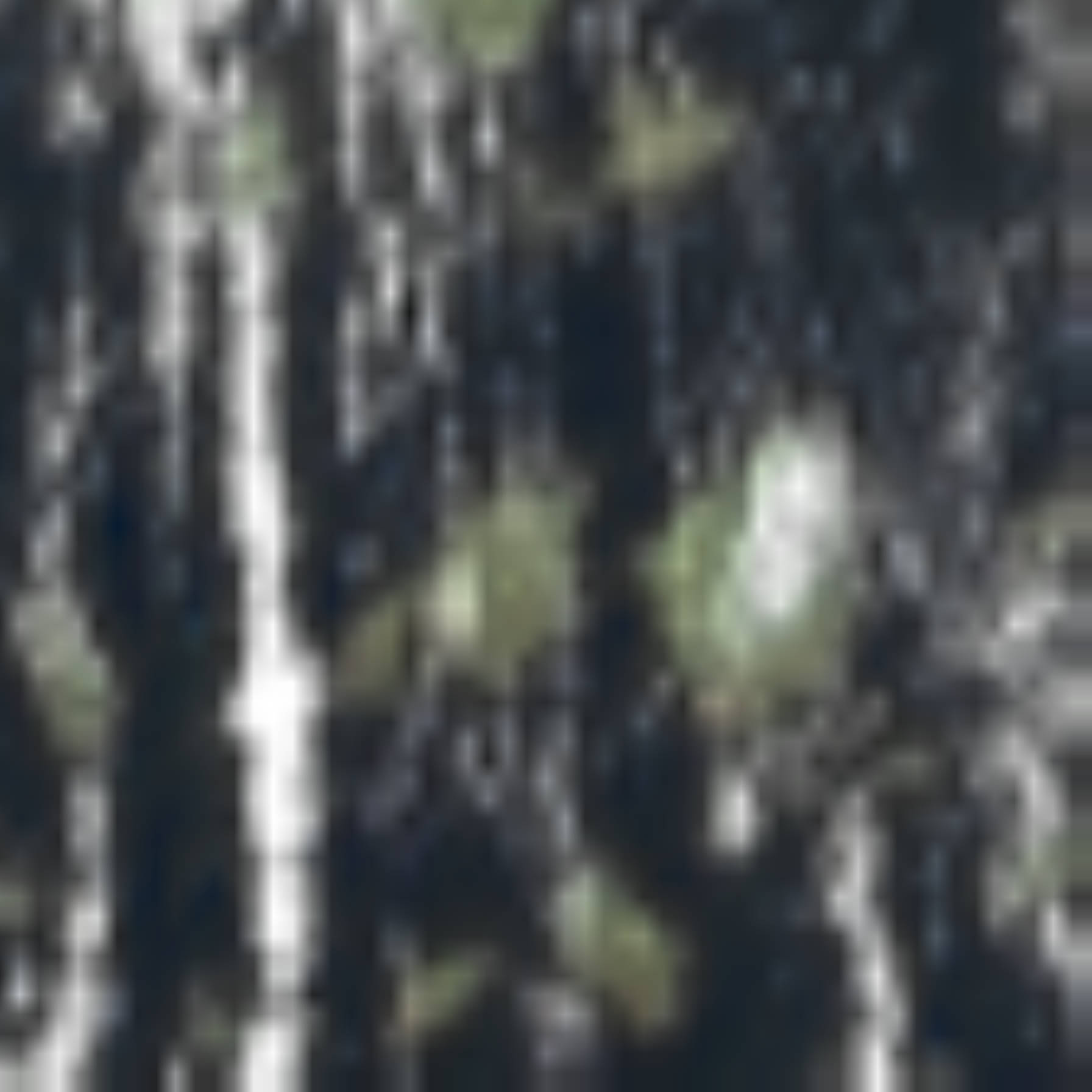satLayer
