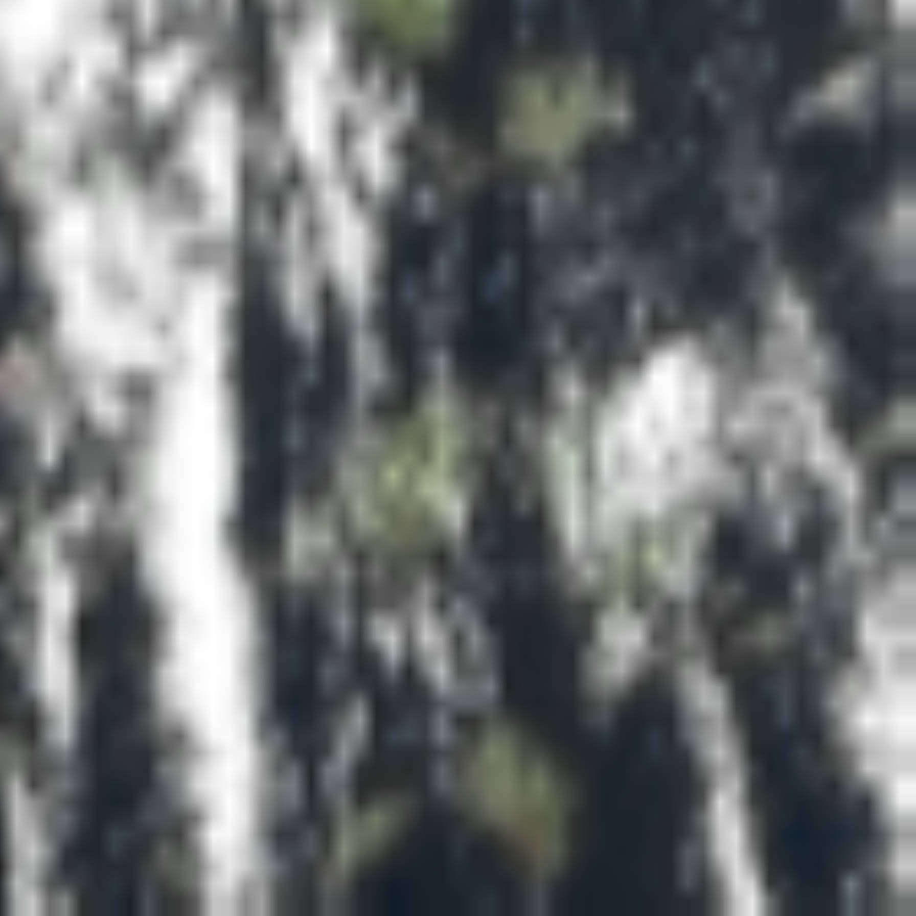 satLayer