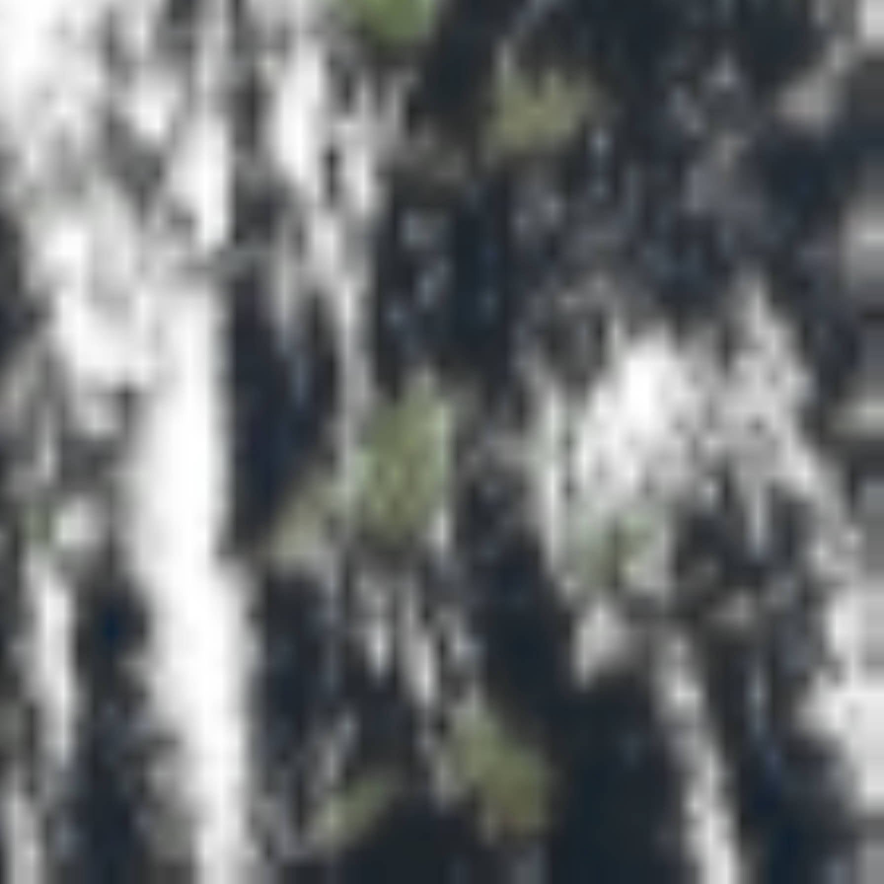 satLayer