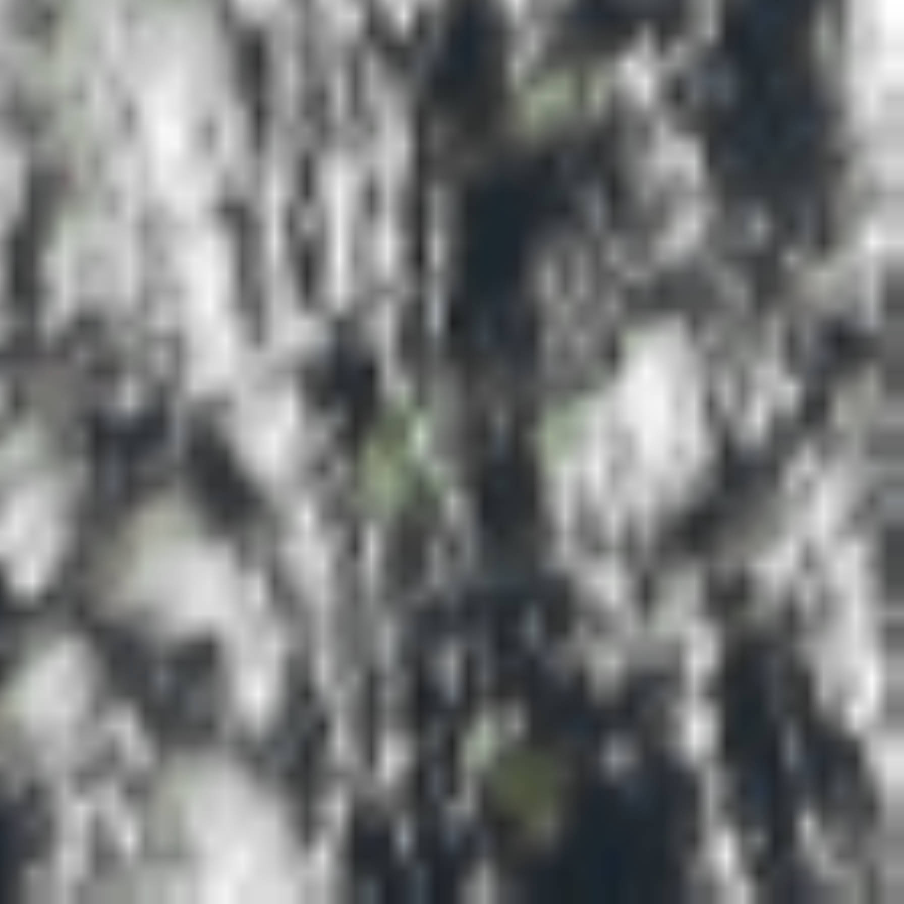 satLayer