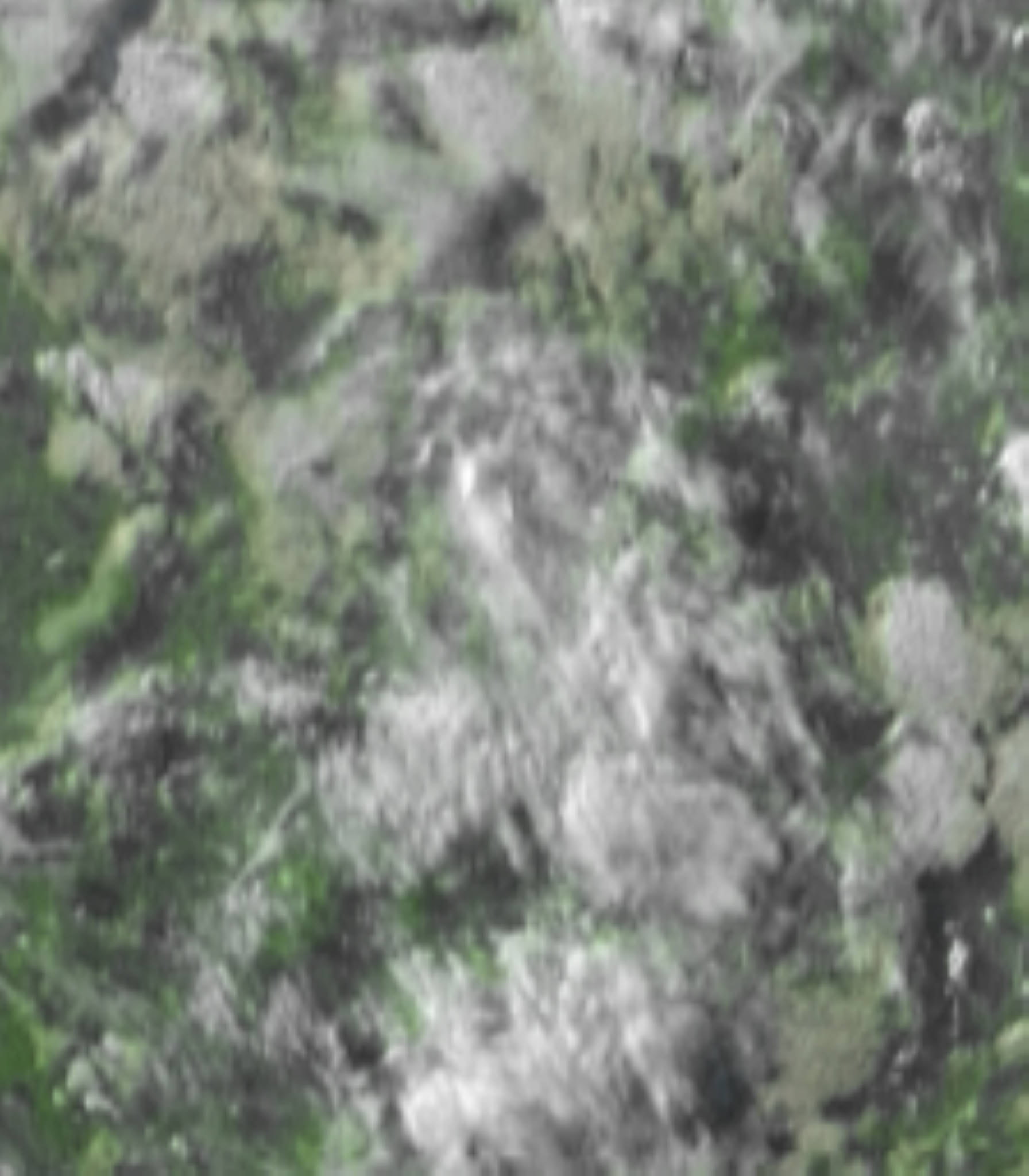satLayer