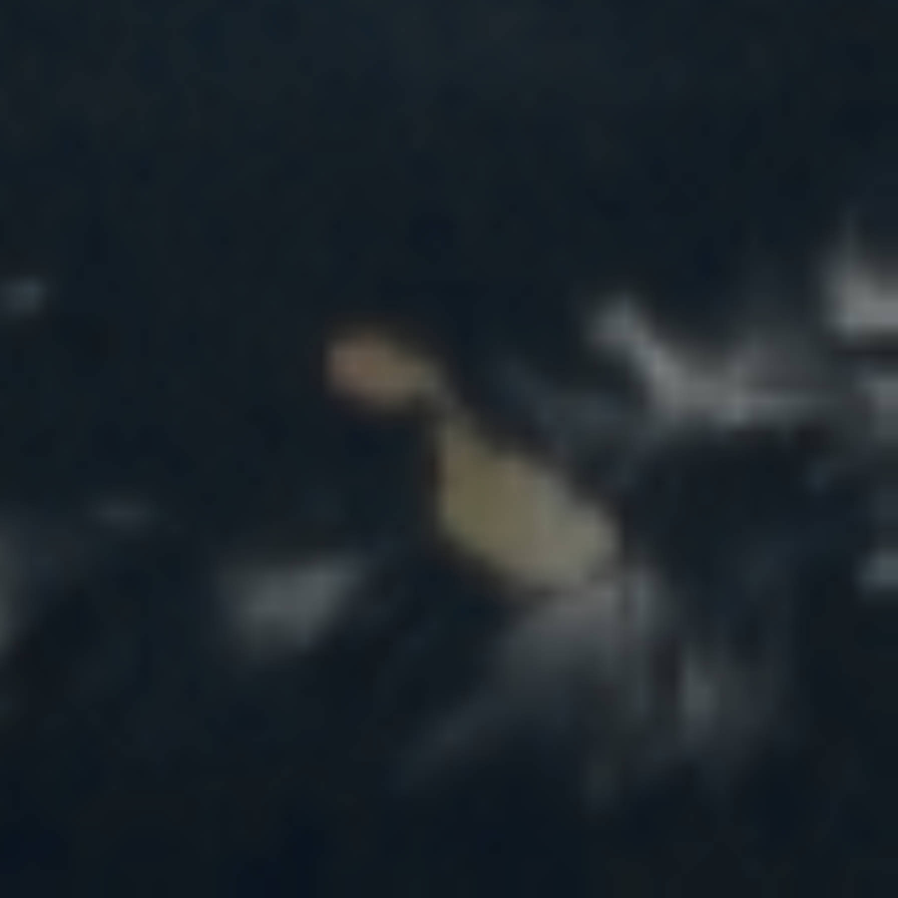 satLayer