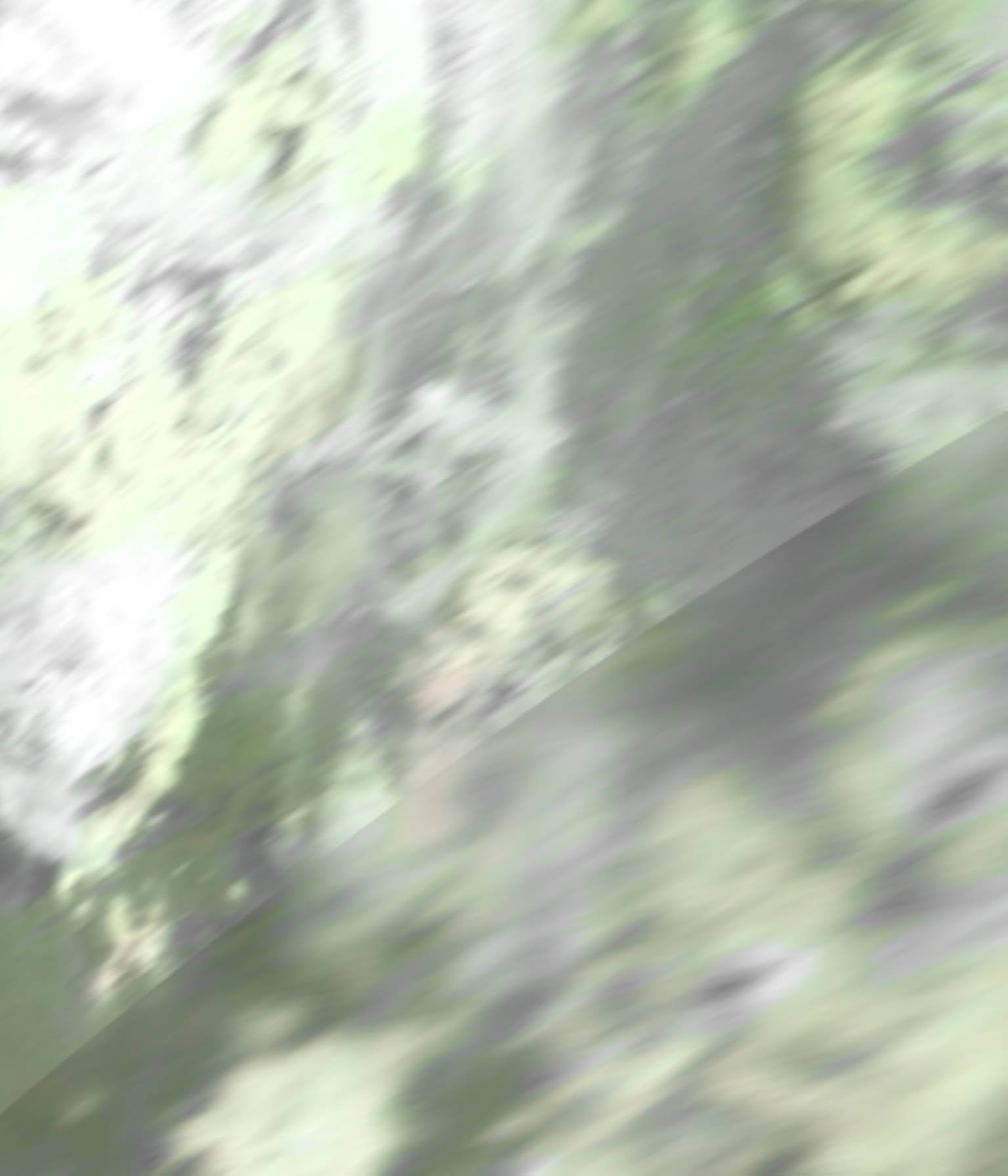 satLayer