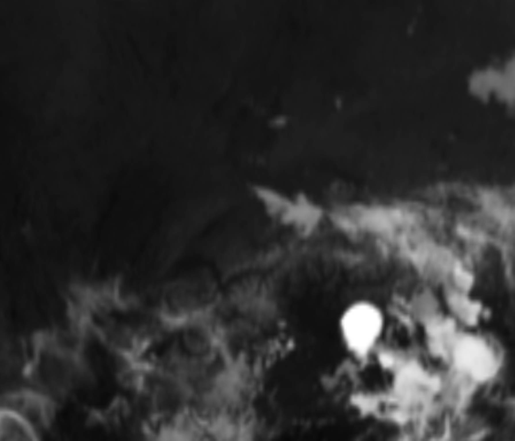satLayer
