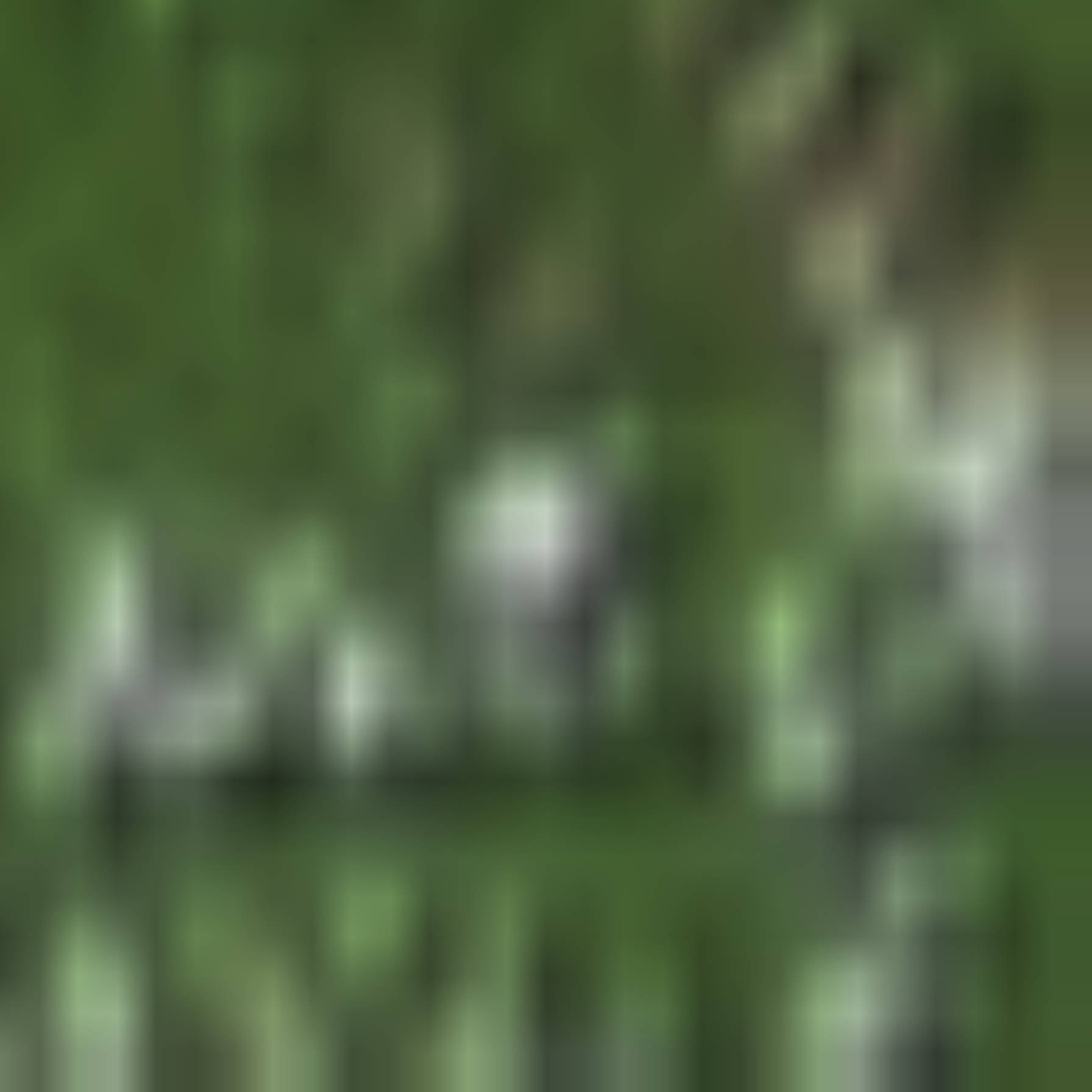 satLayer