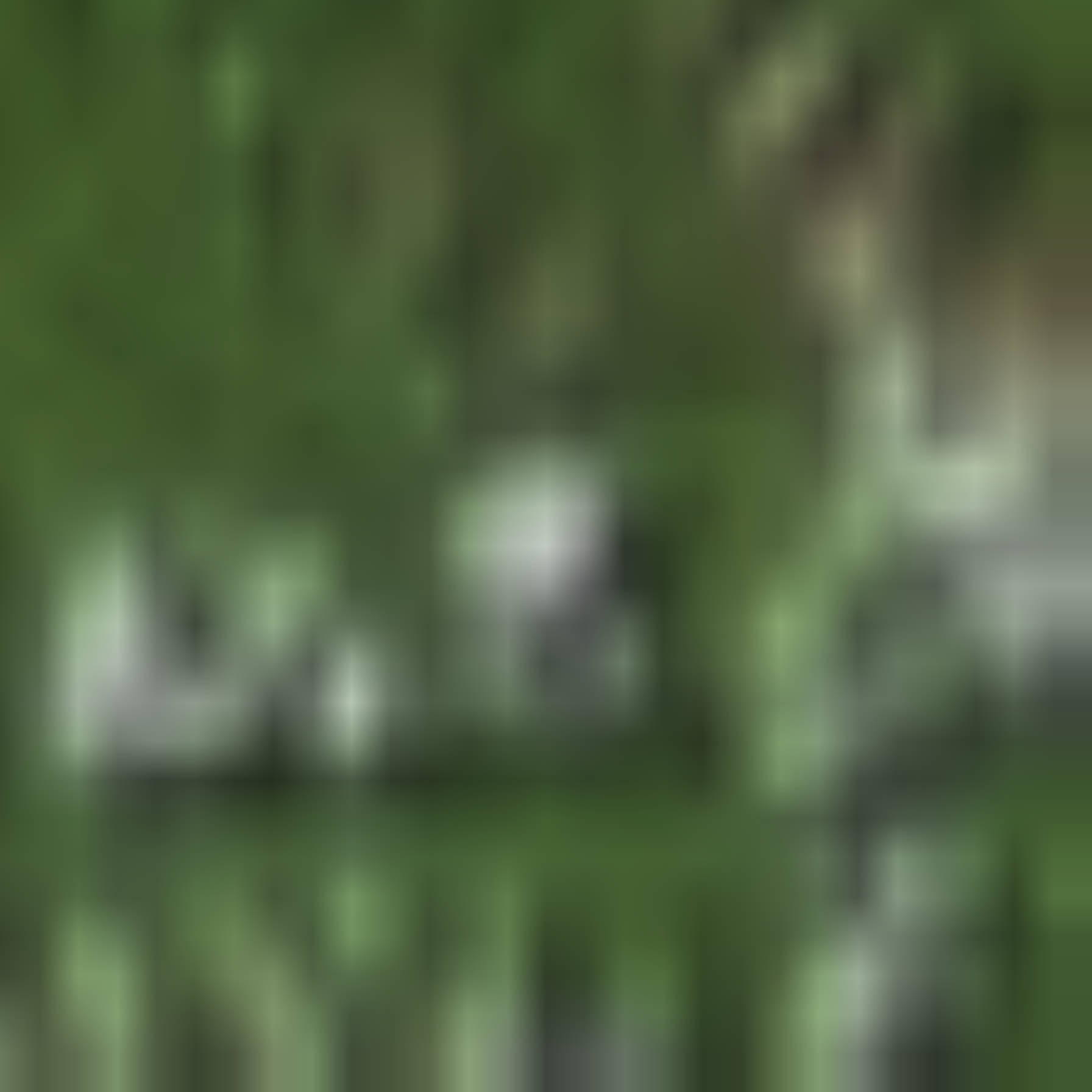 satLayer