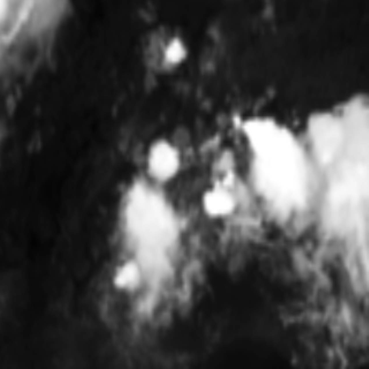 satLayer