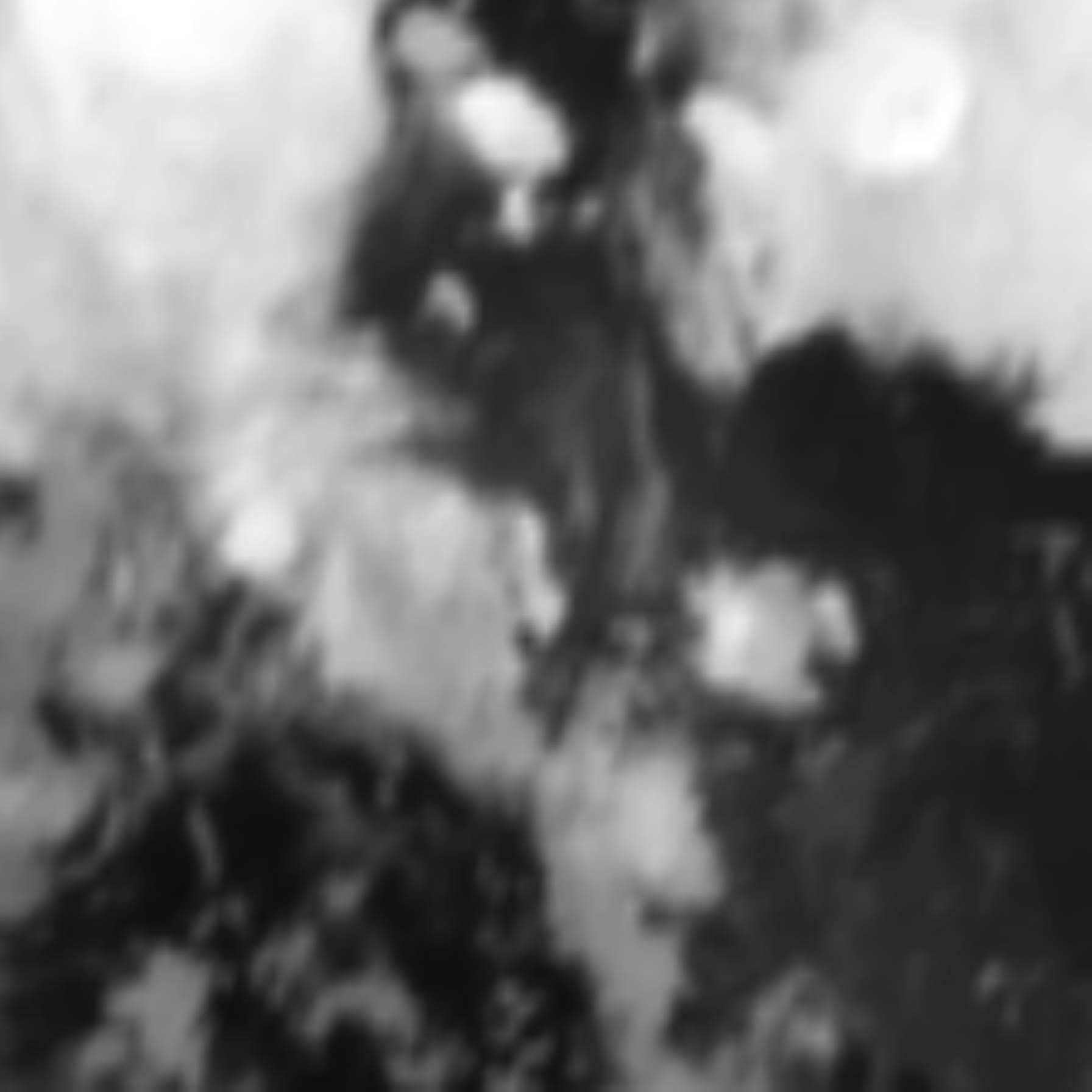 satLayer