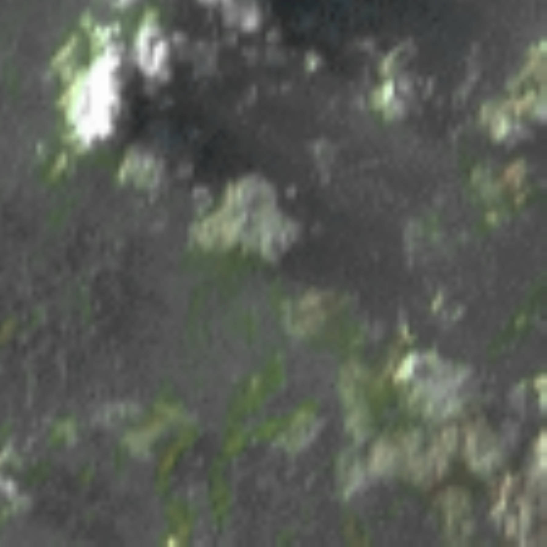 satLayer