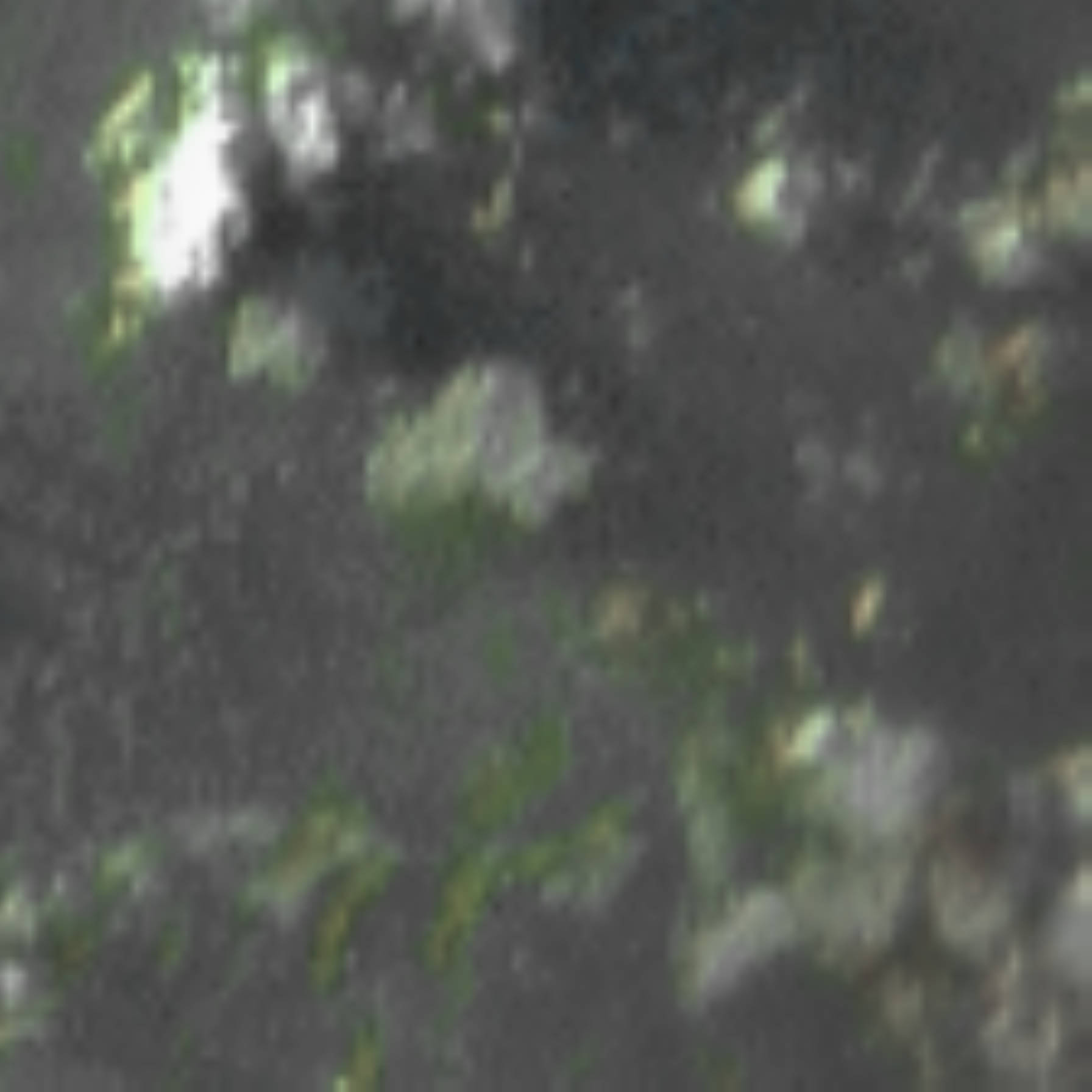 satLayer