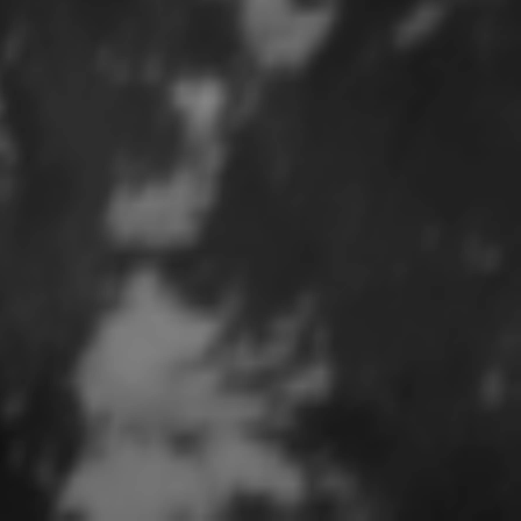 satLayer