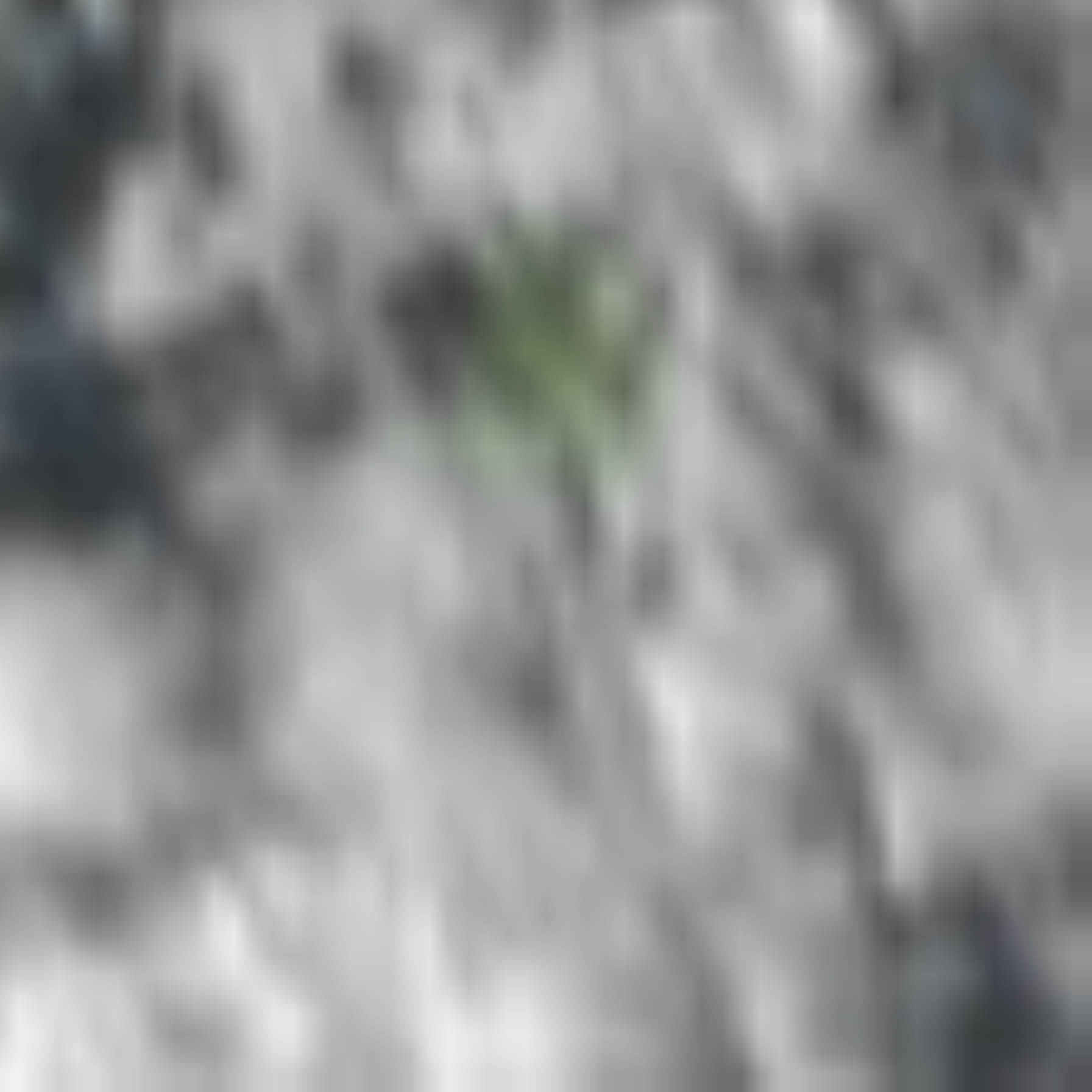 satLayer
