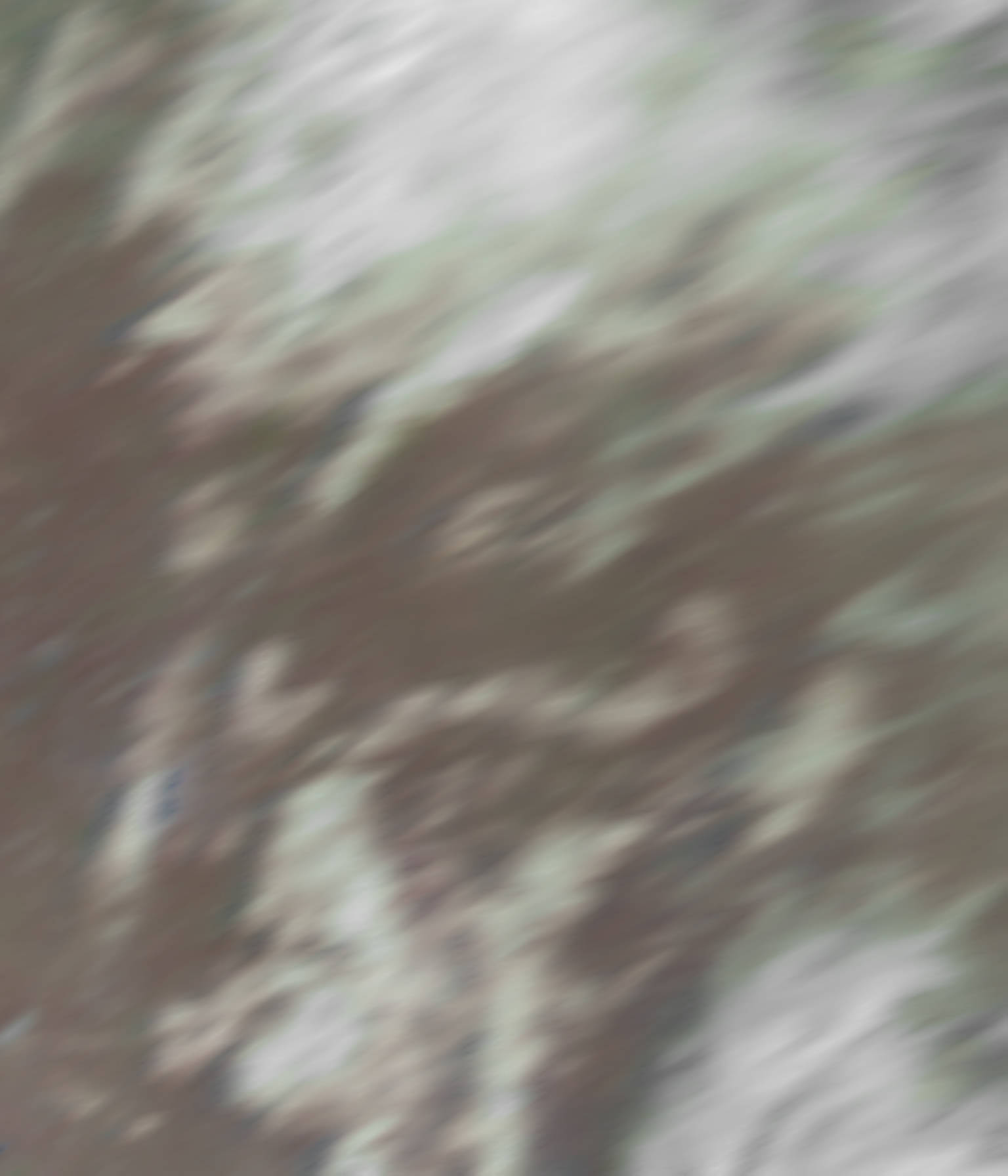 satLayer