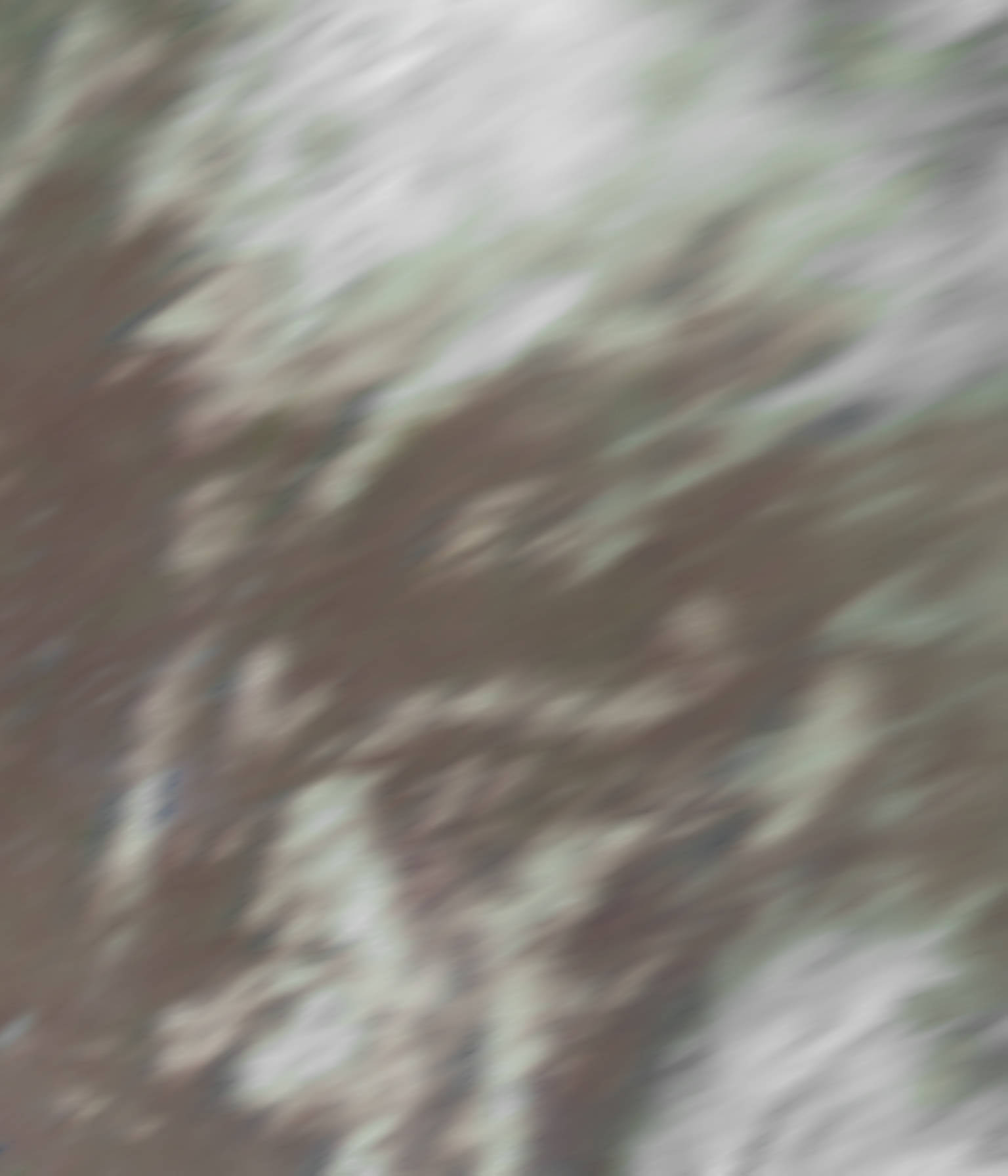 satLayer