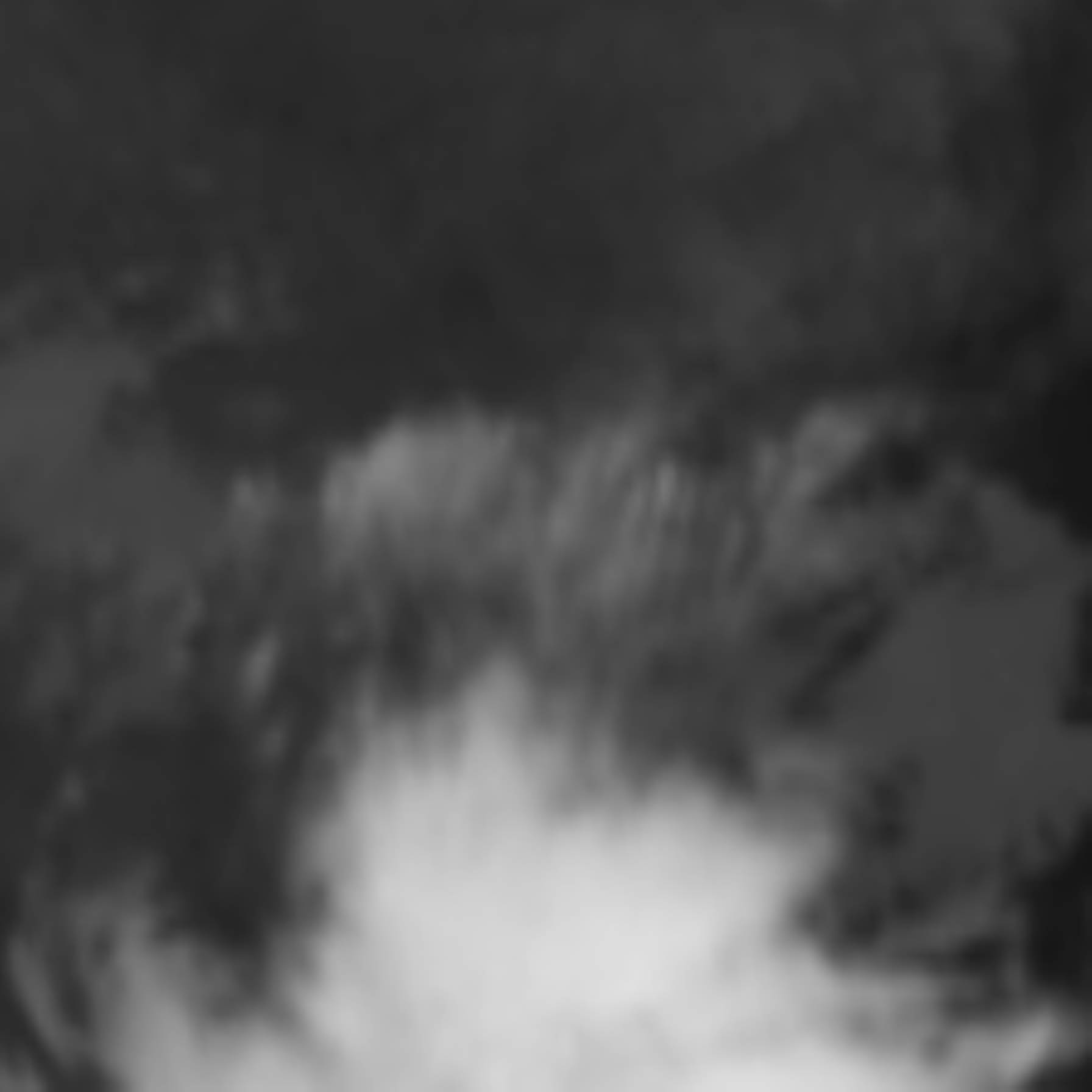satLayer