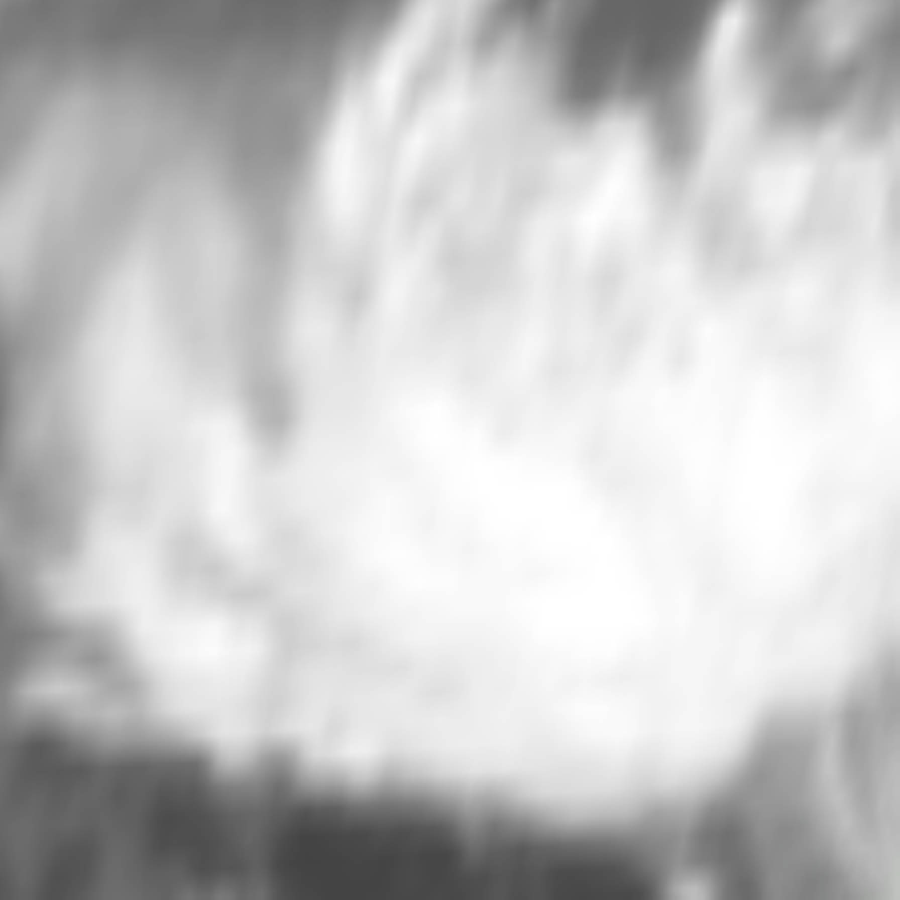 satLayer