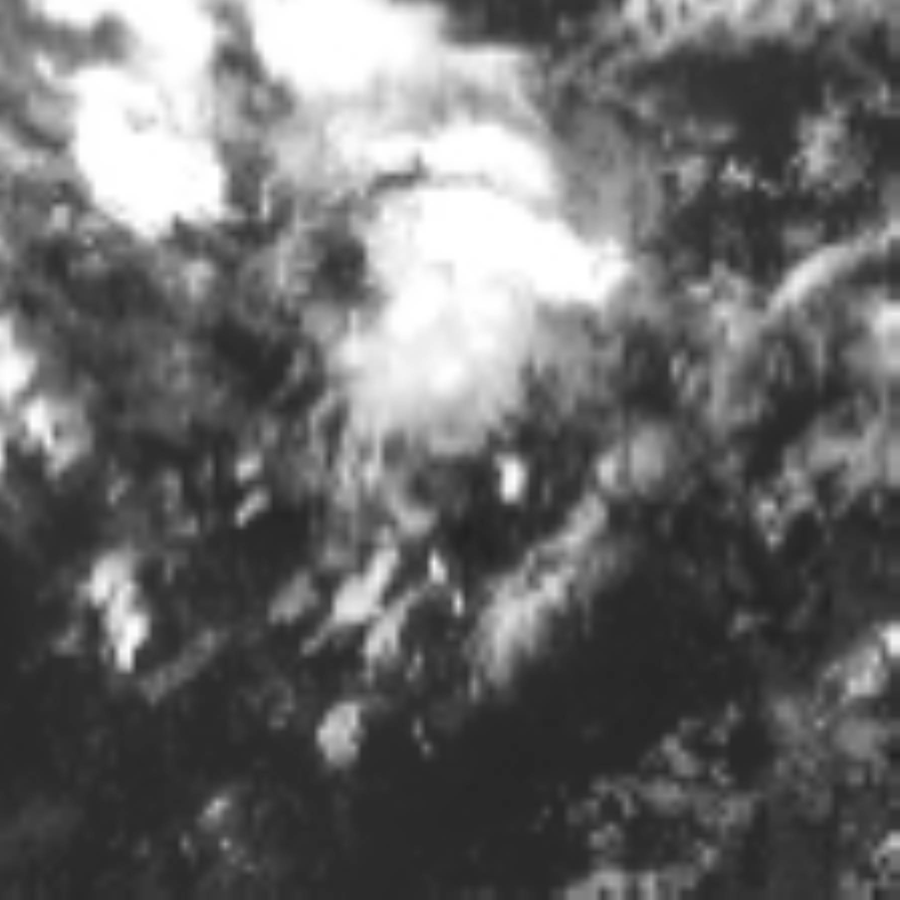 satLayer