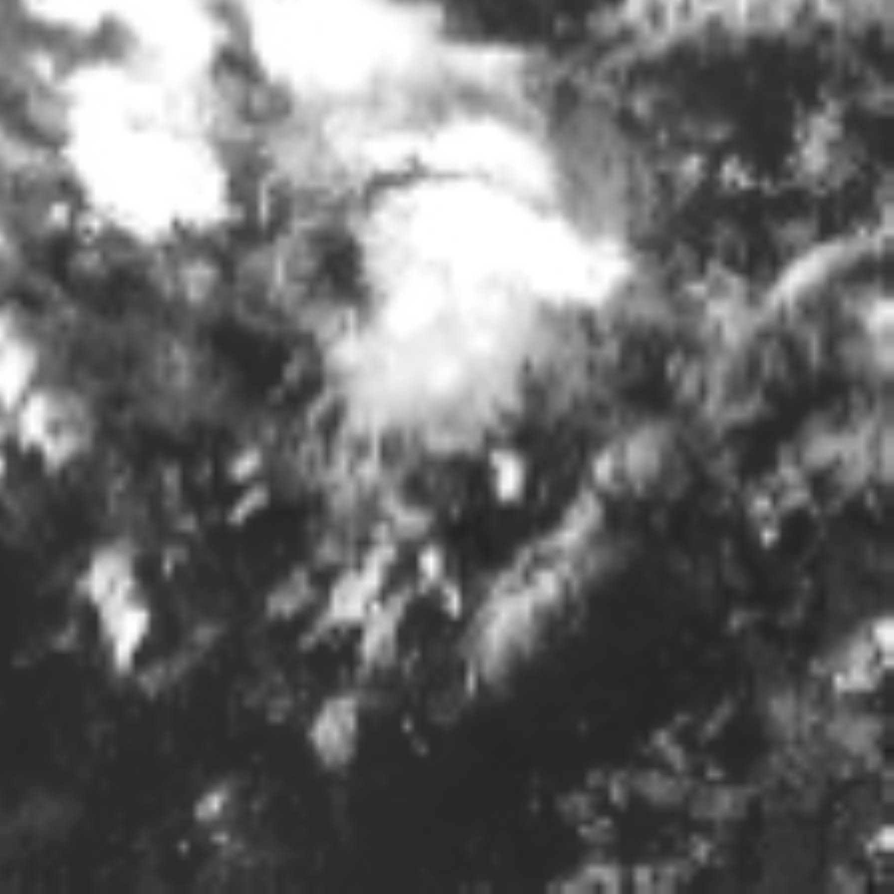 satLayer