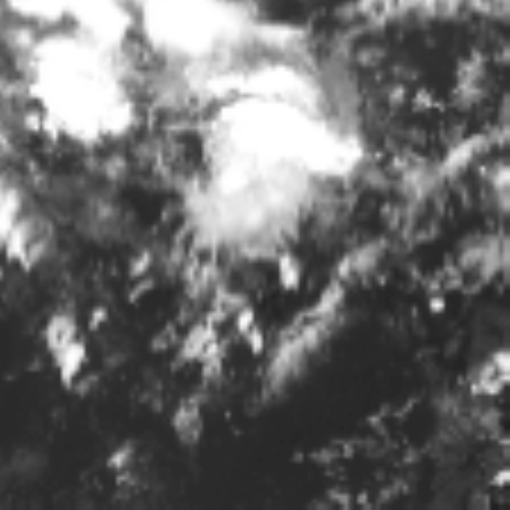 satLayer