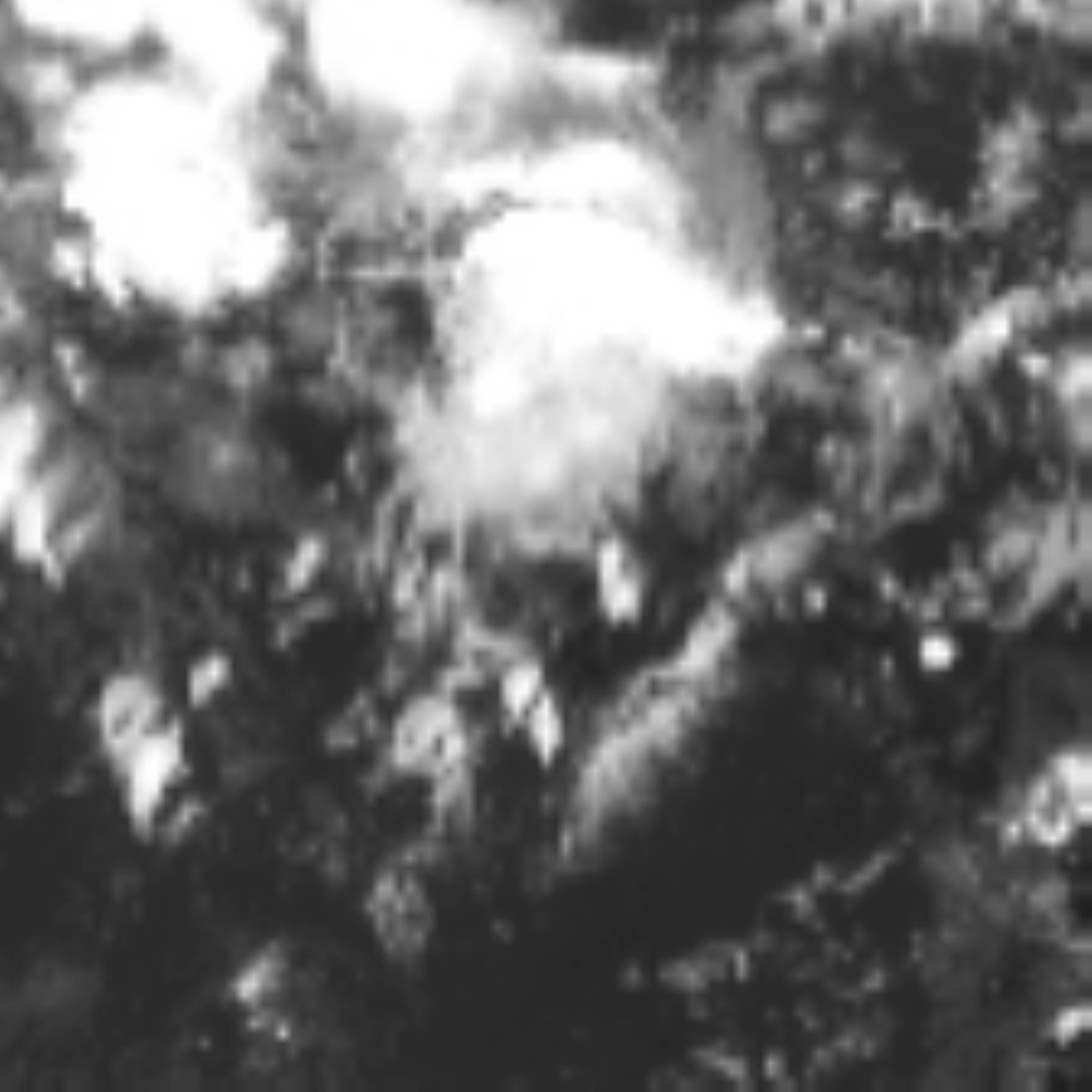 satLayer