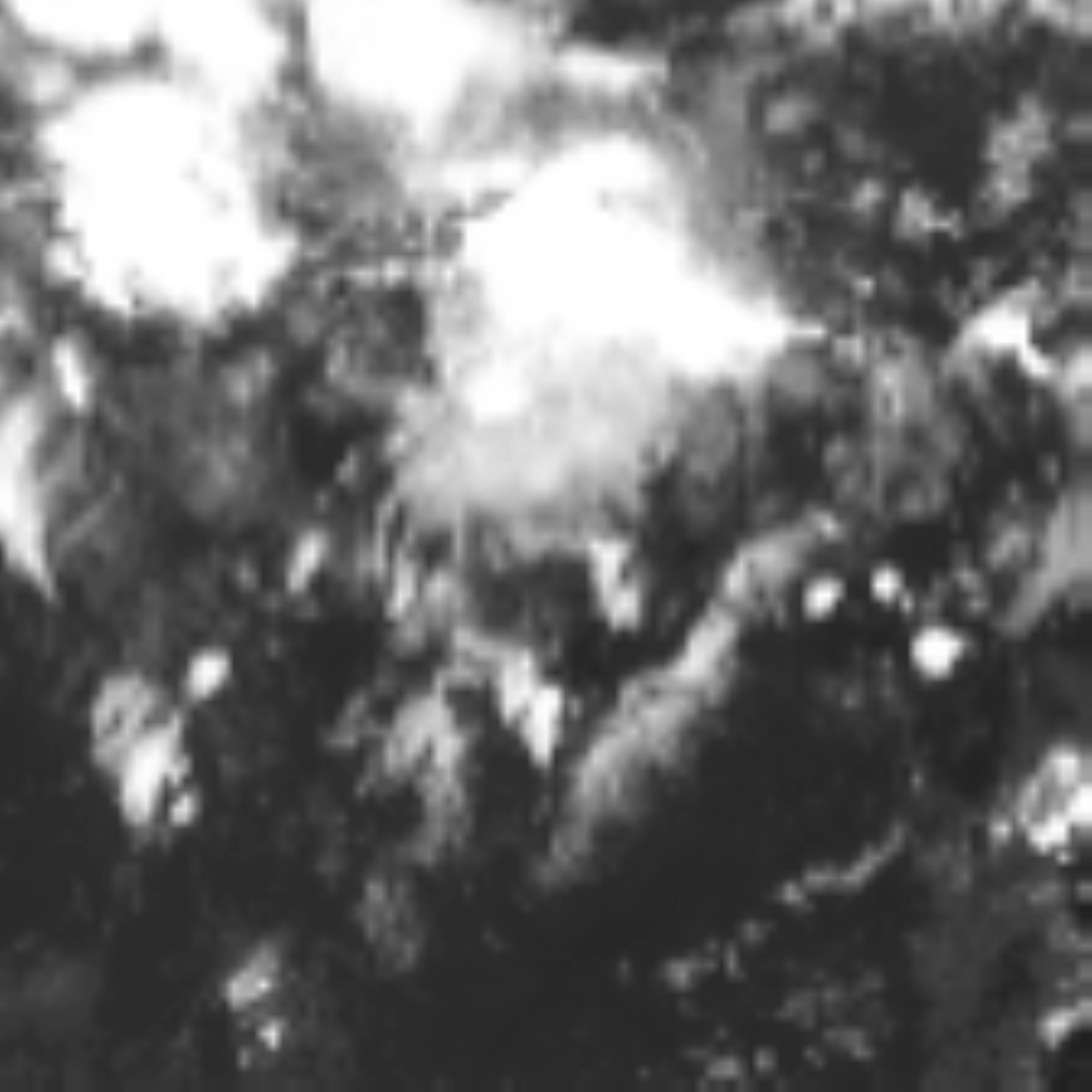 satLayer