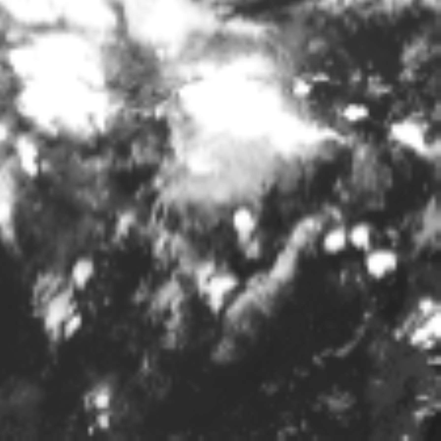 satLayer