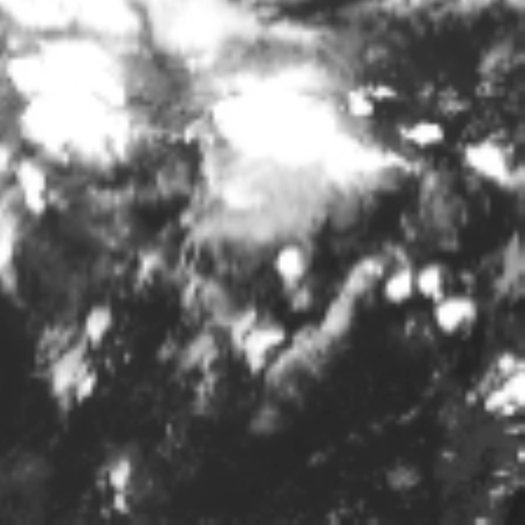 satLayer