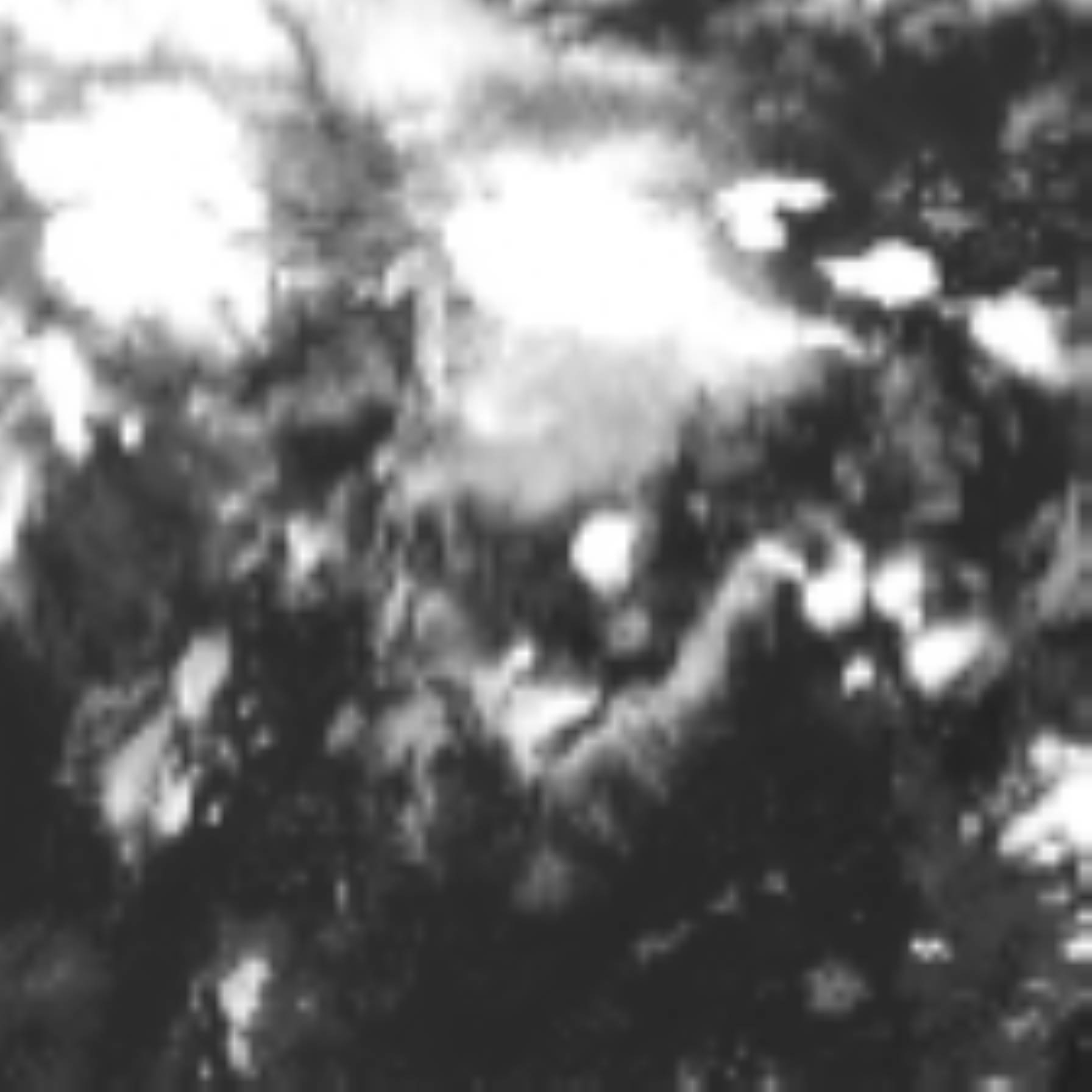 satLayer