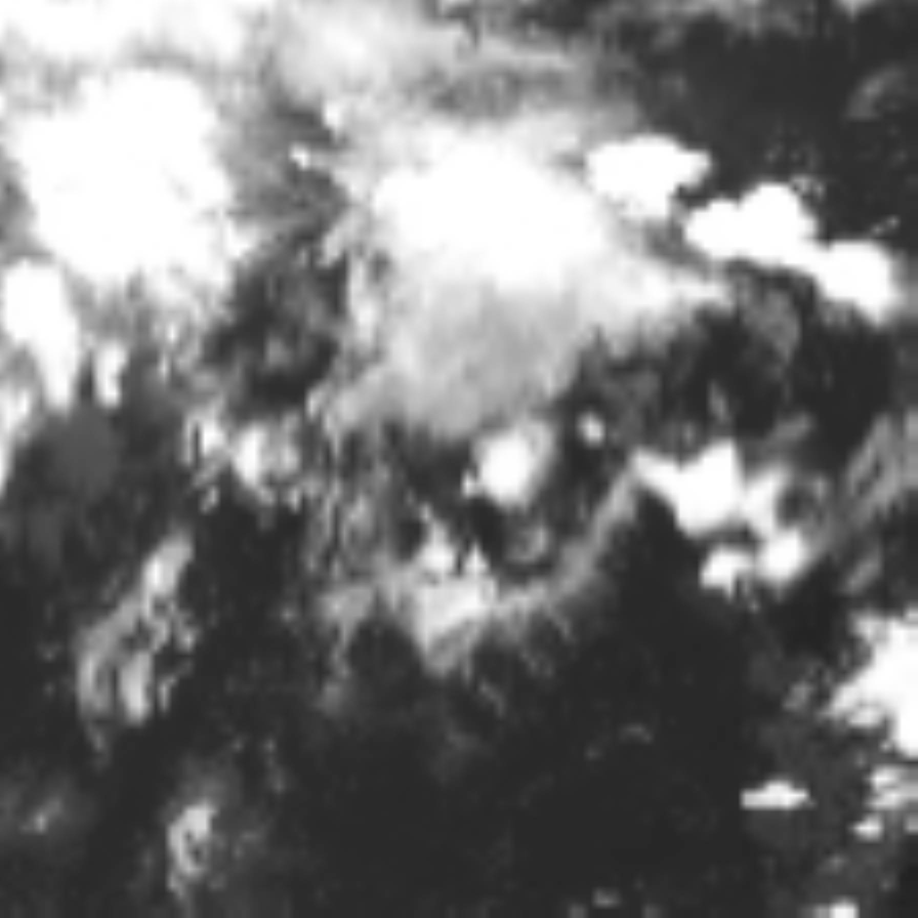 satLayer