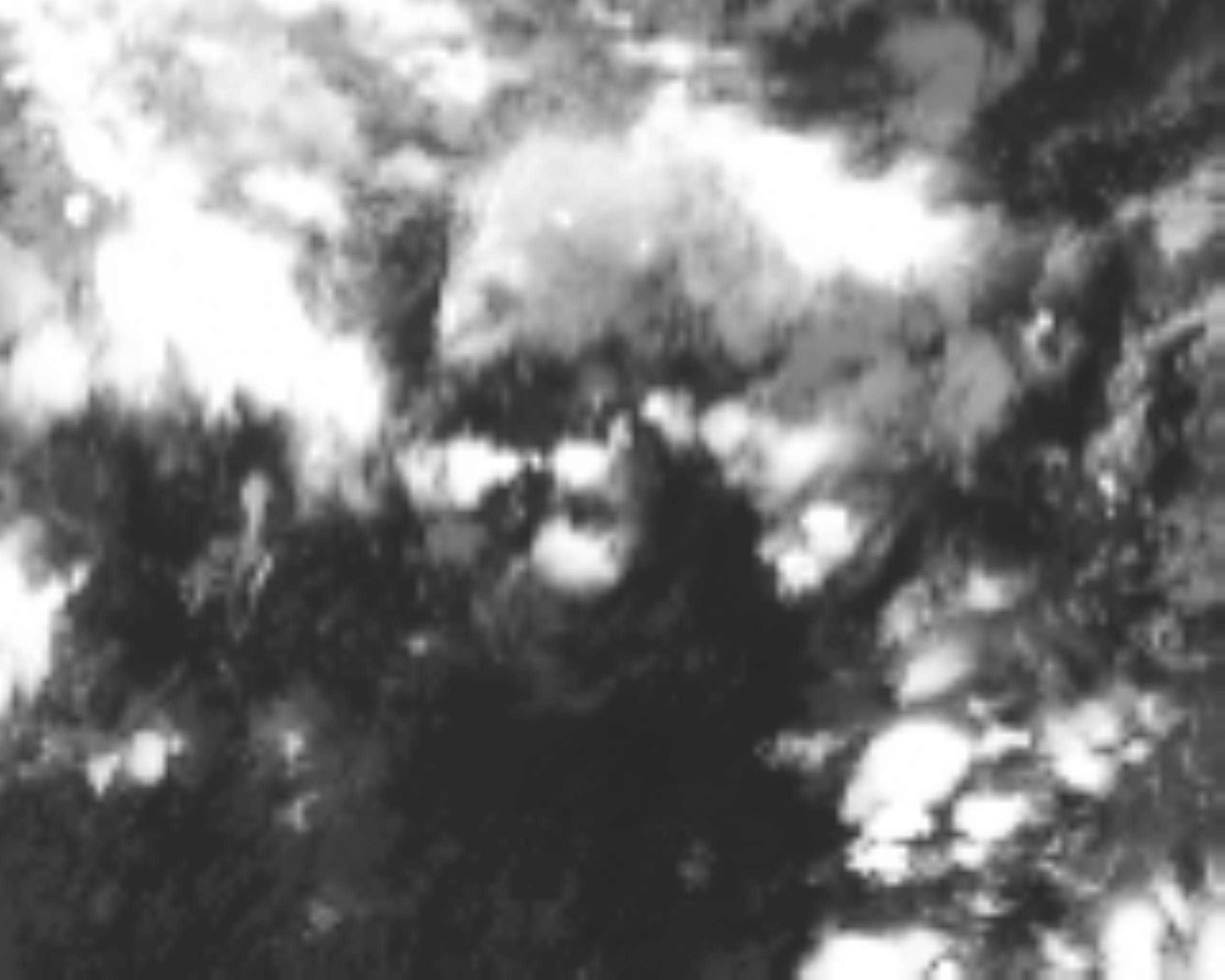 satLayer