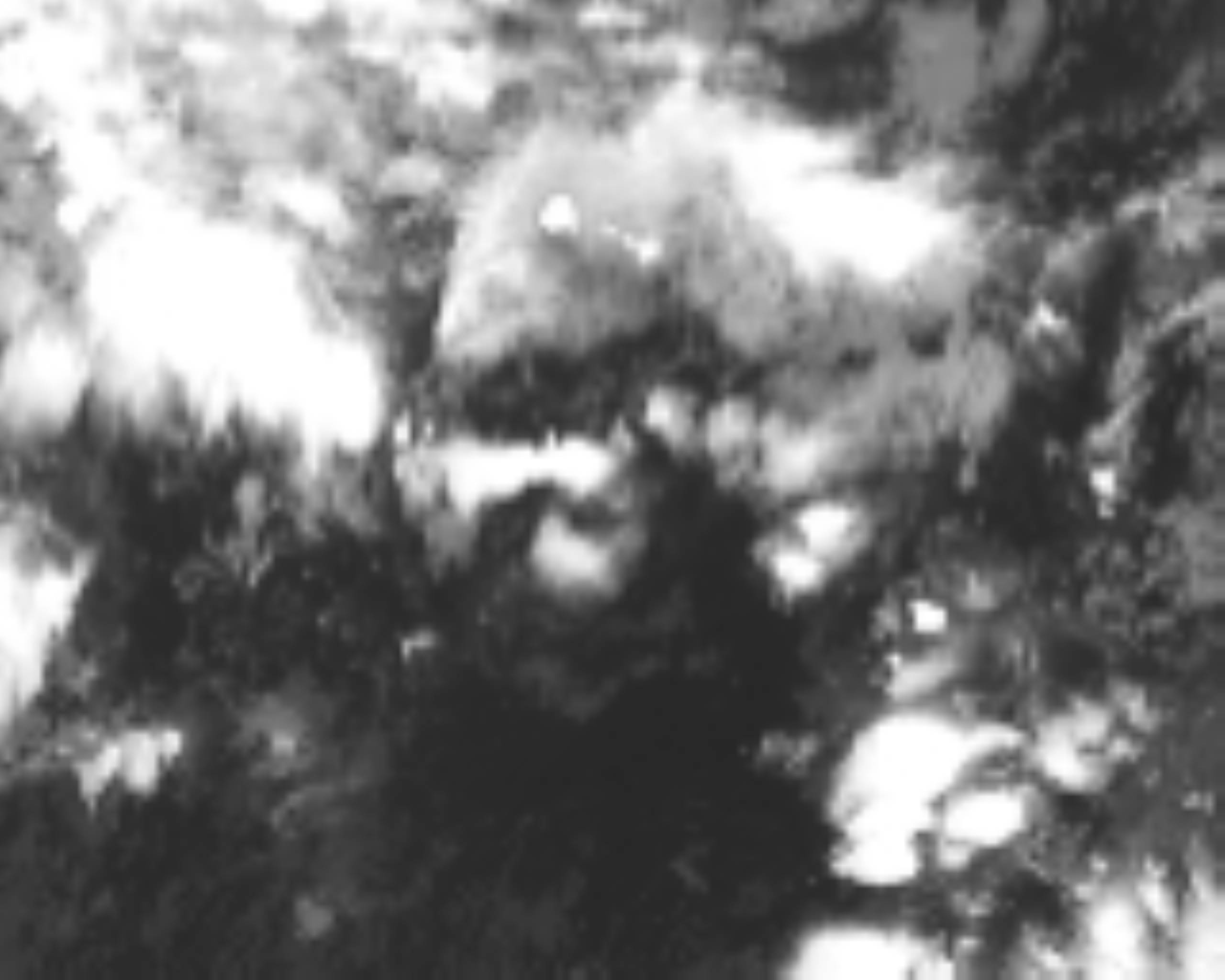 satLayer