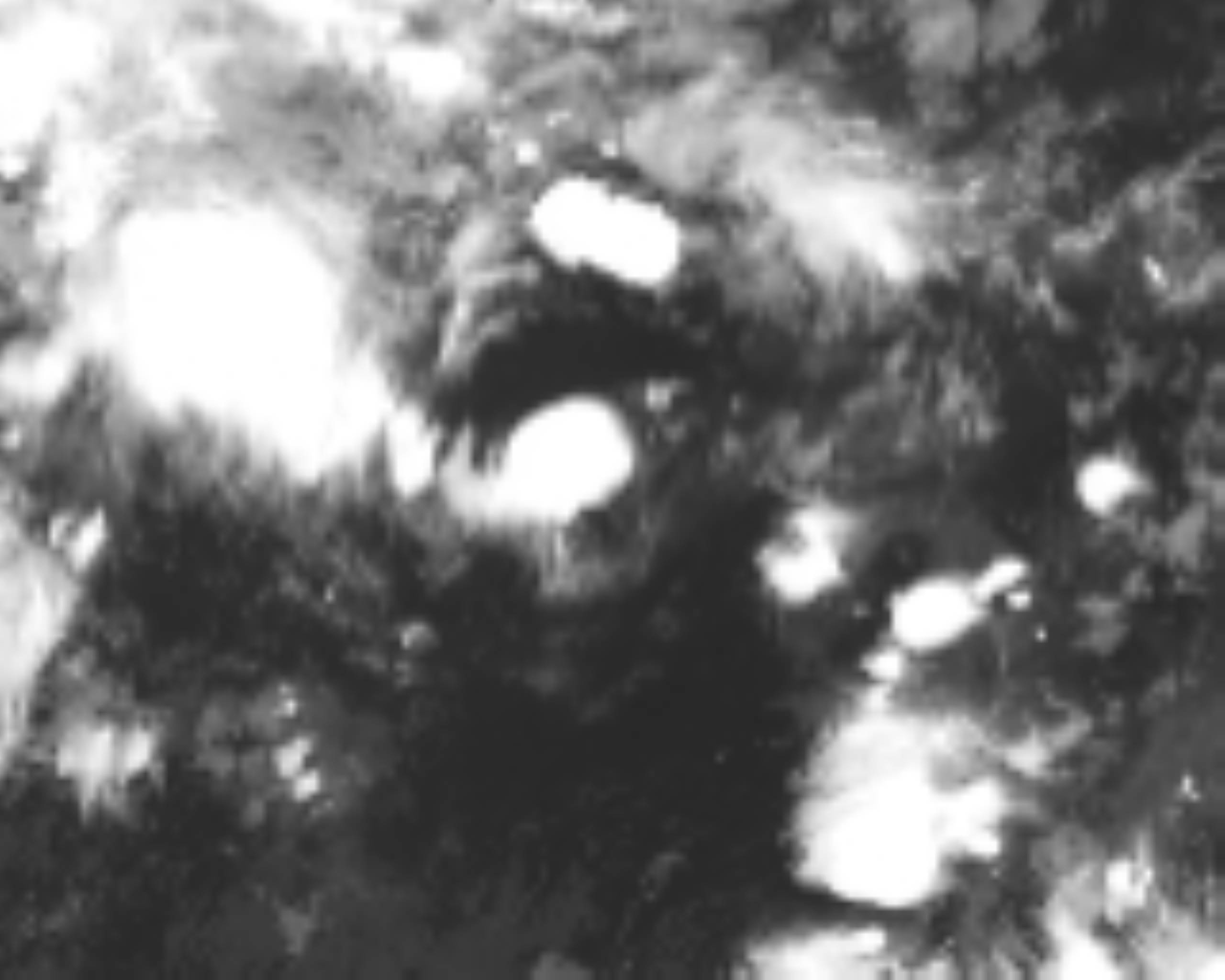 satLayer