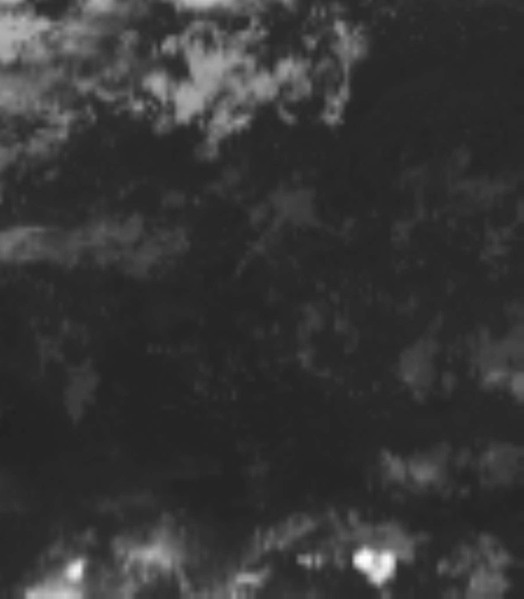 satLayer
