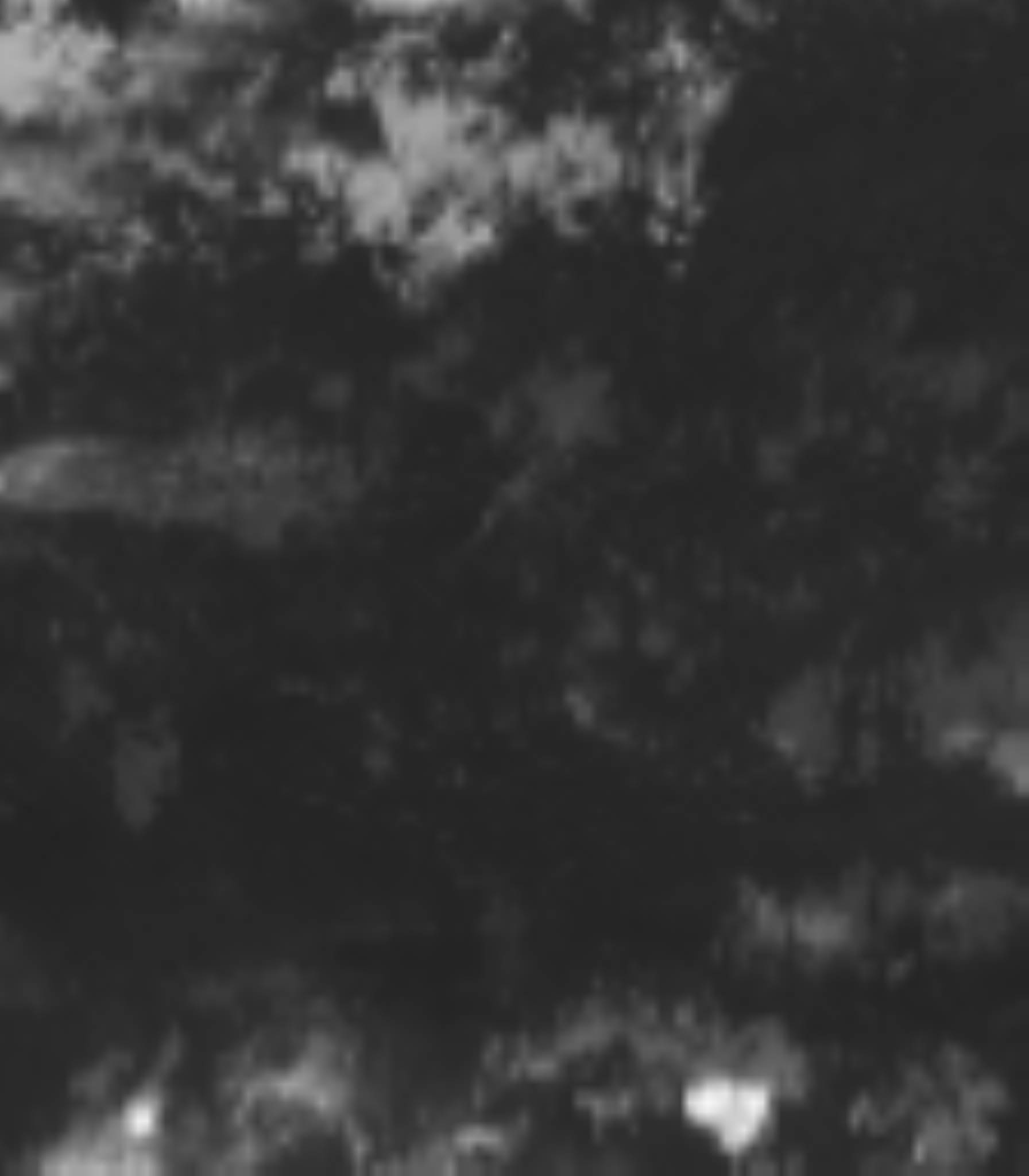 satLayer