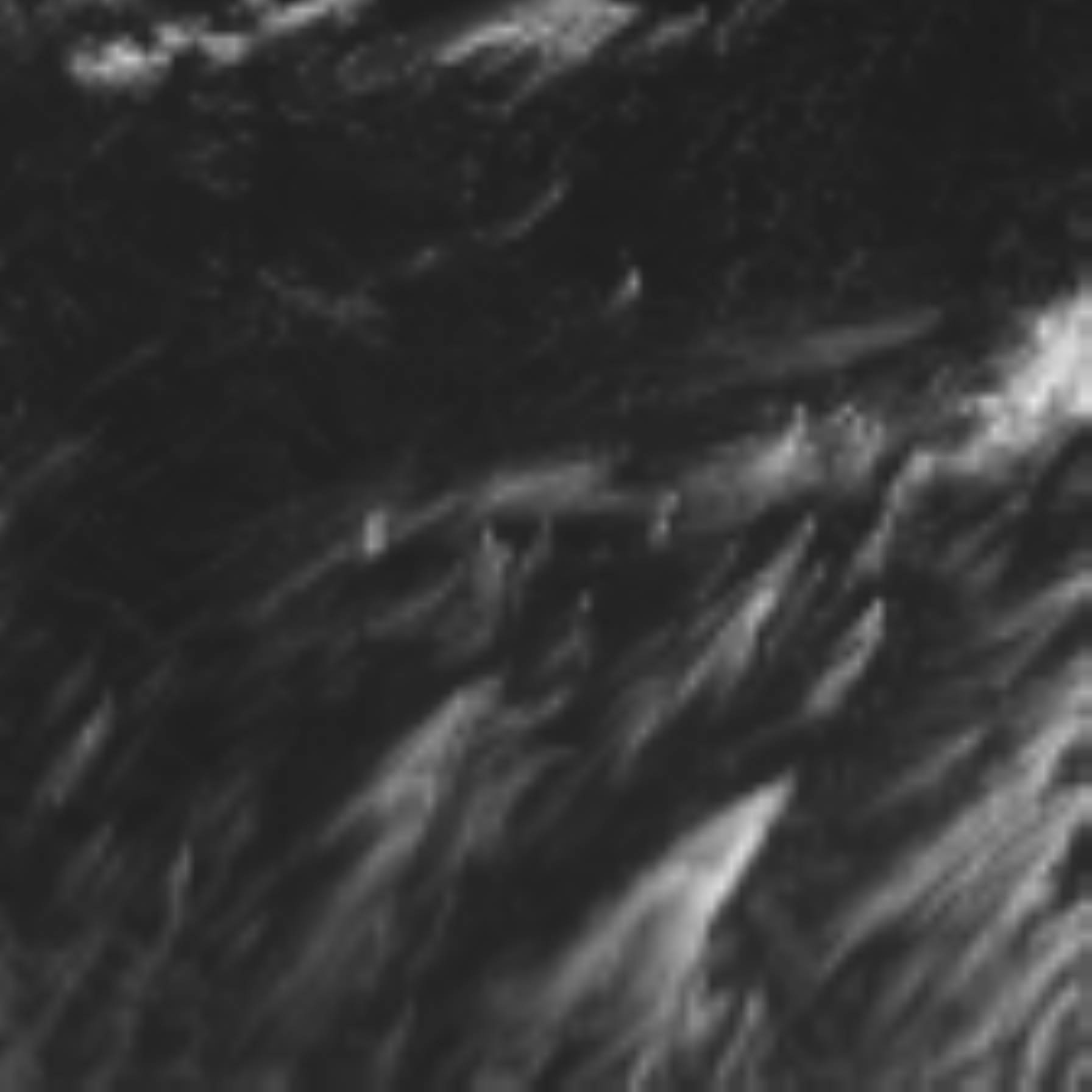 satLayer