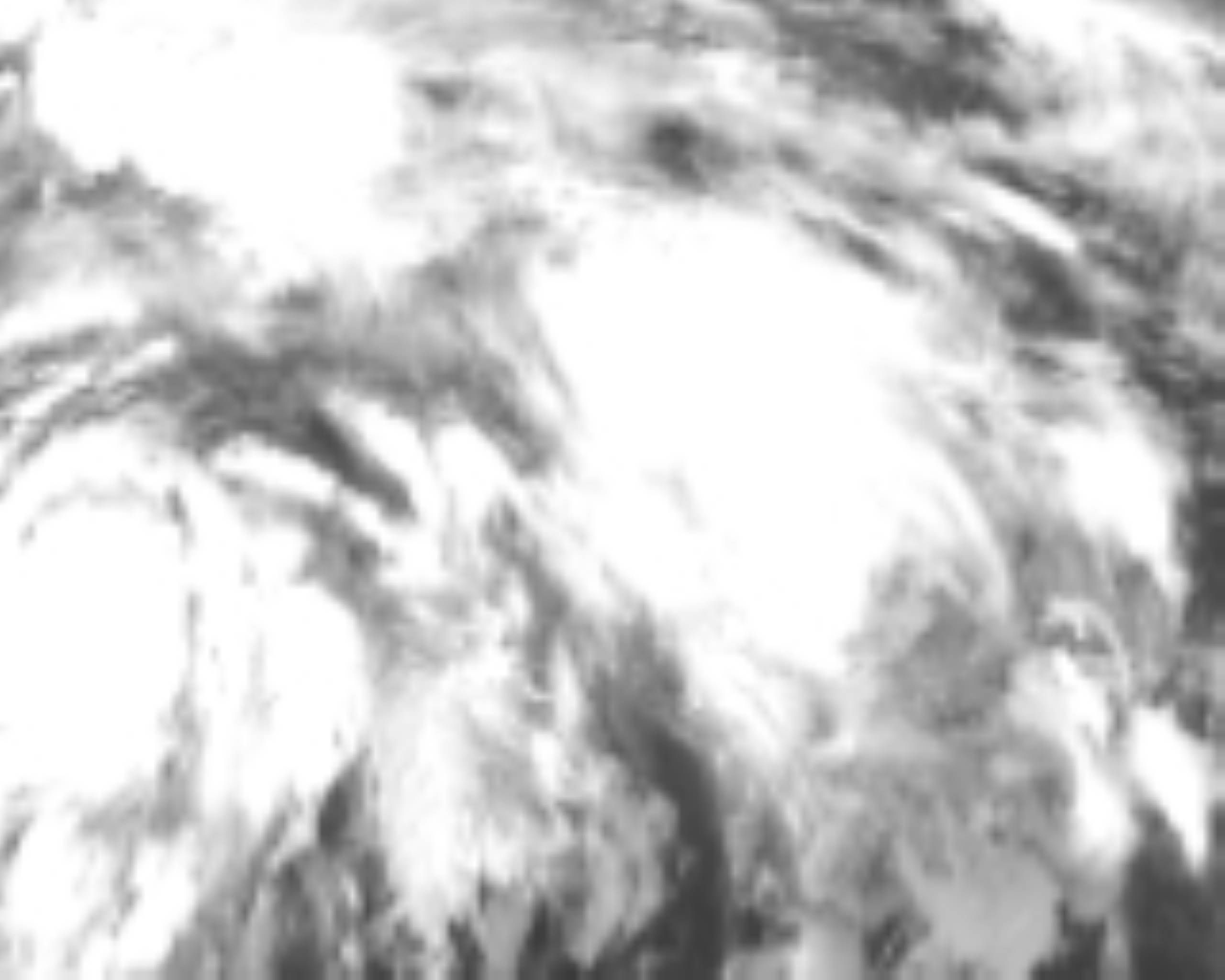 satLayer