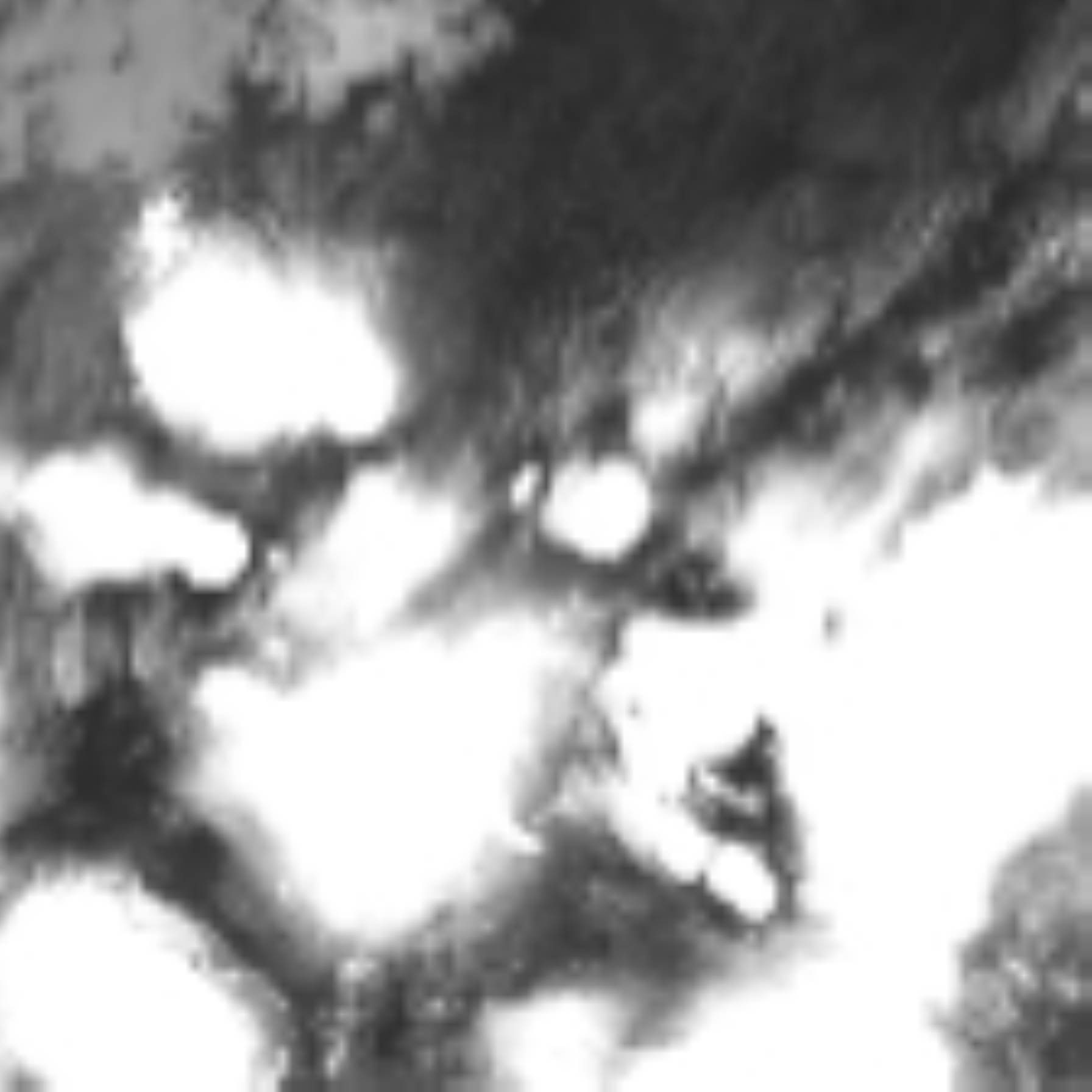 satLayer