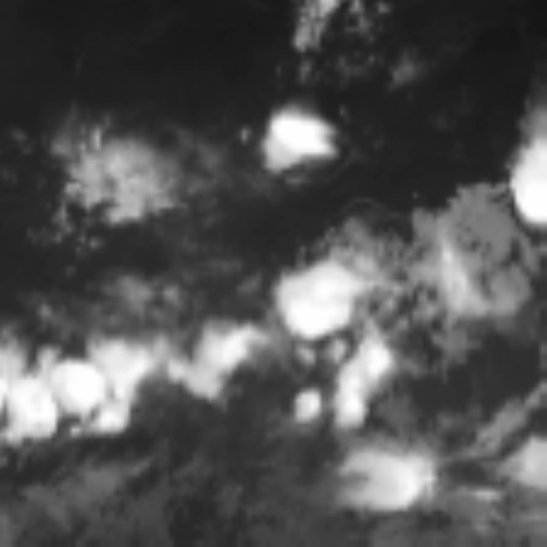 satLayer