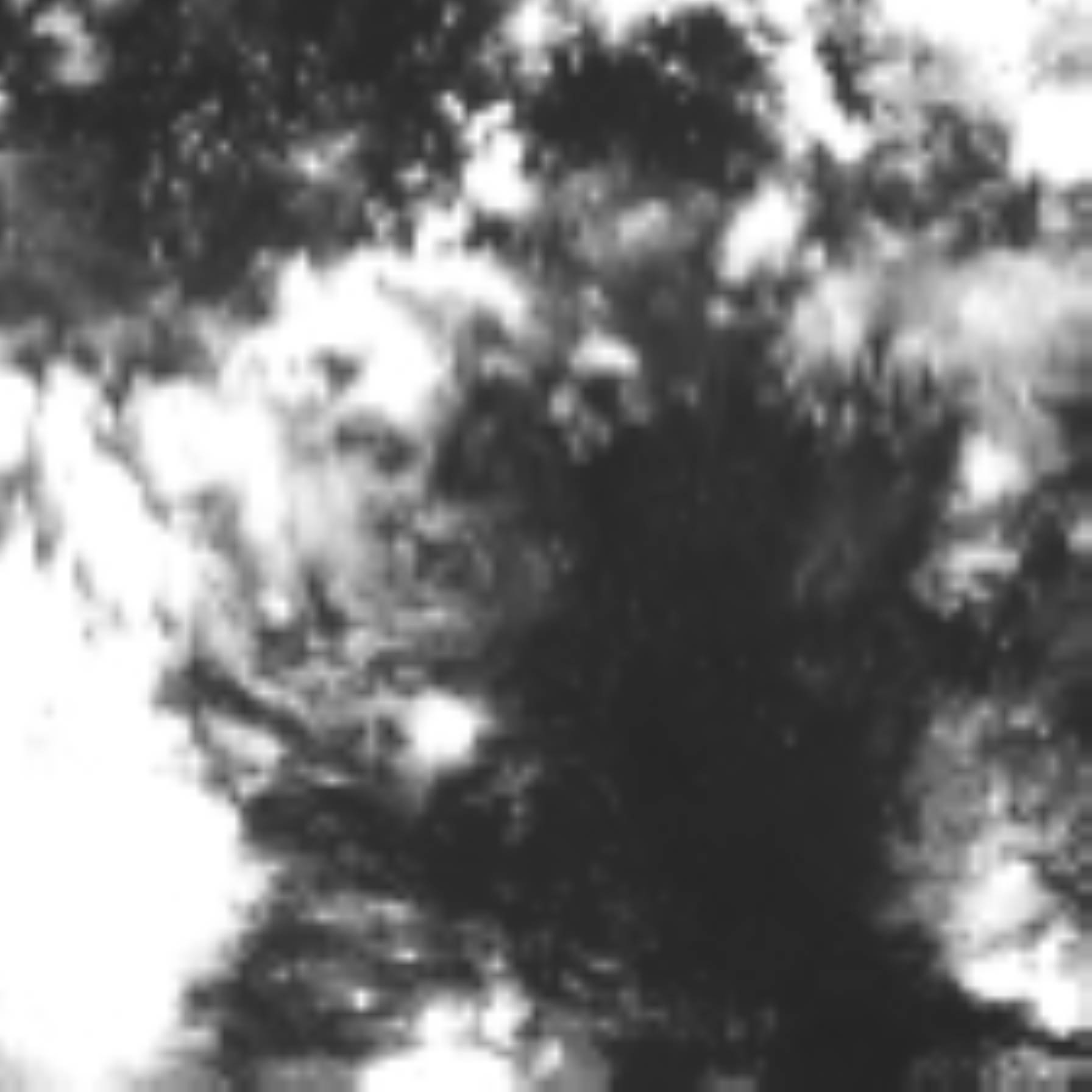 satLayer
