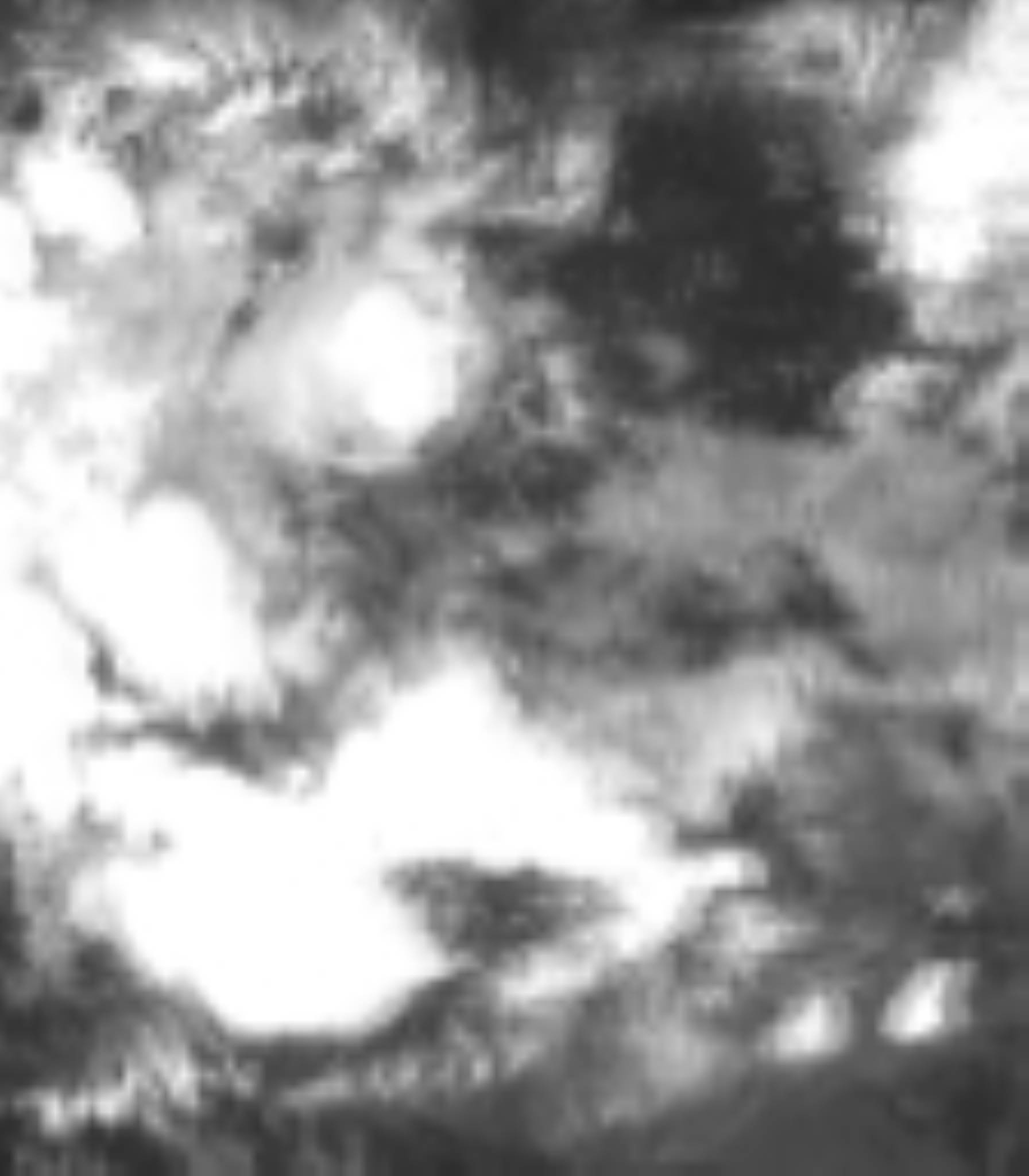 satLayer