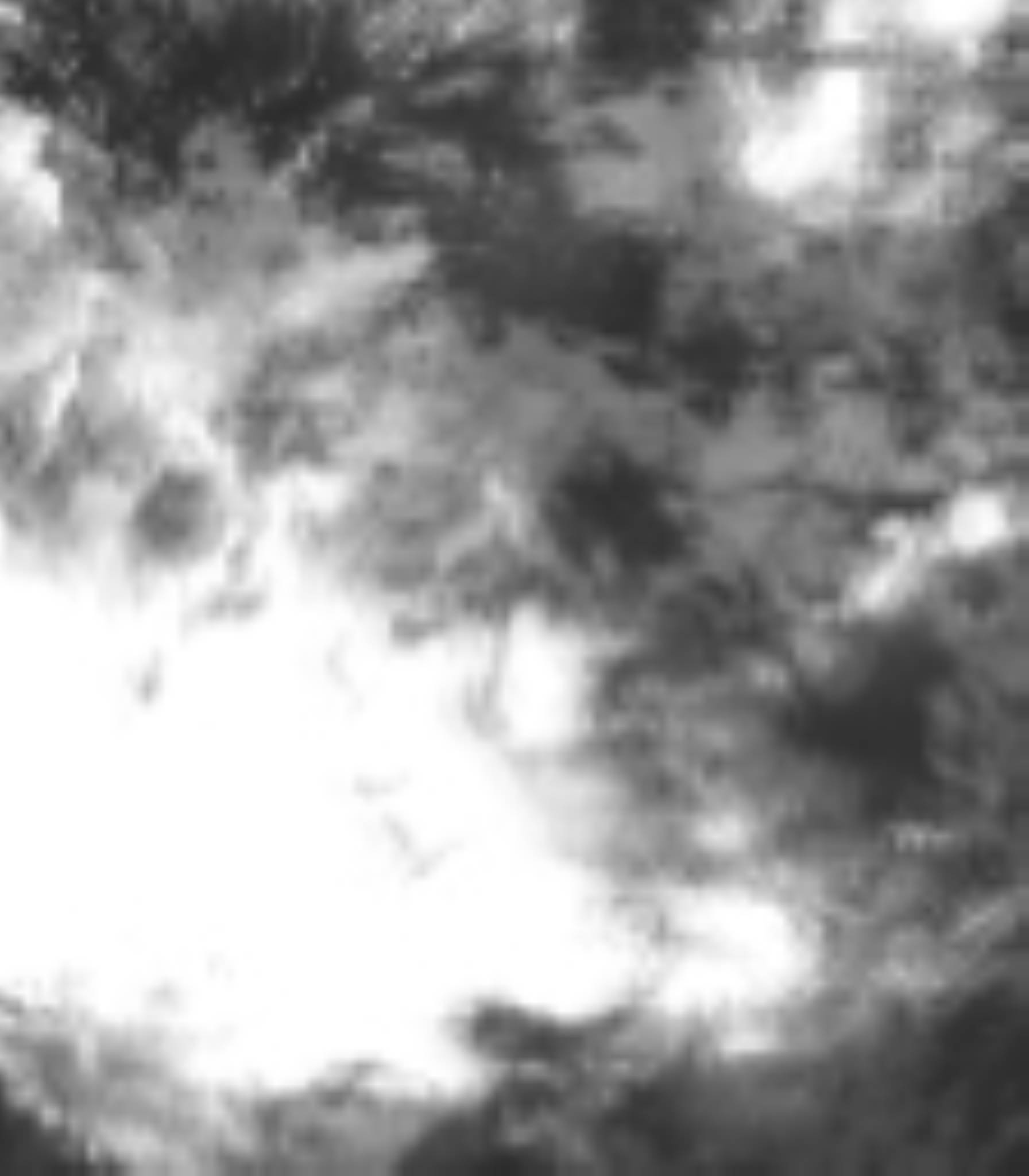 satLayer