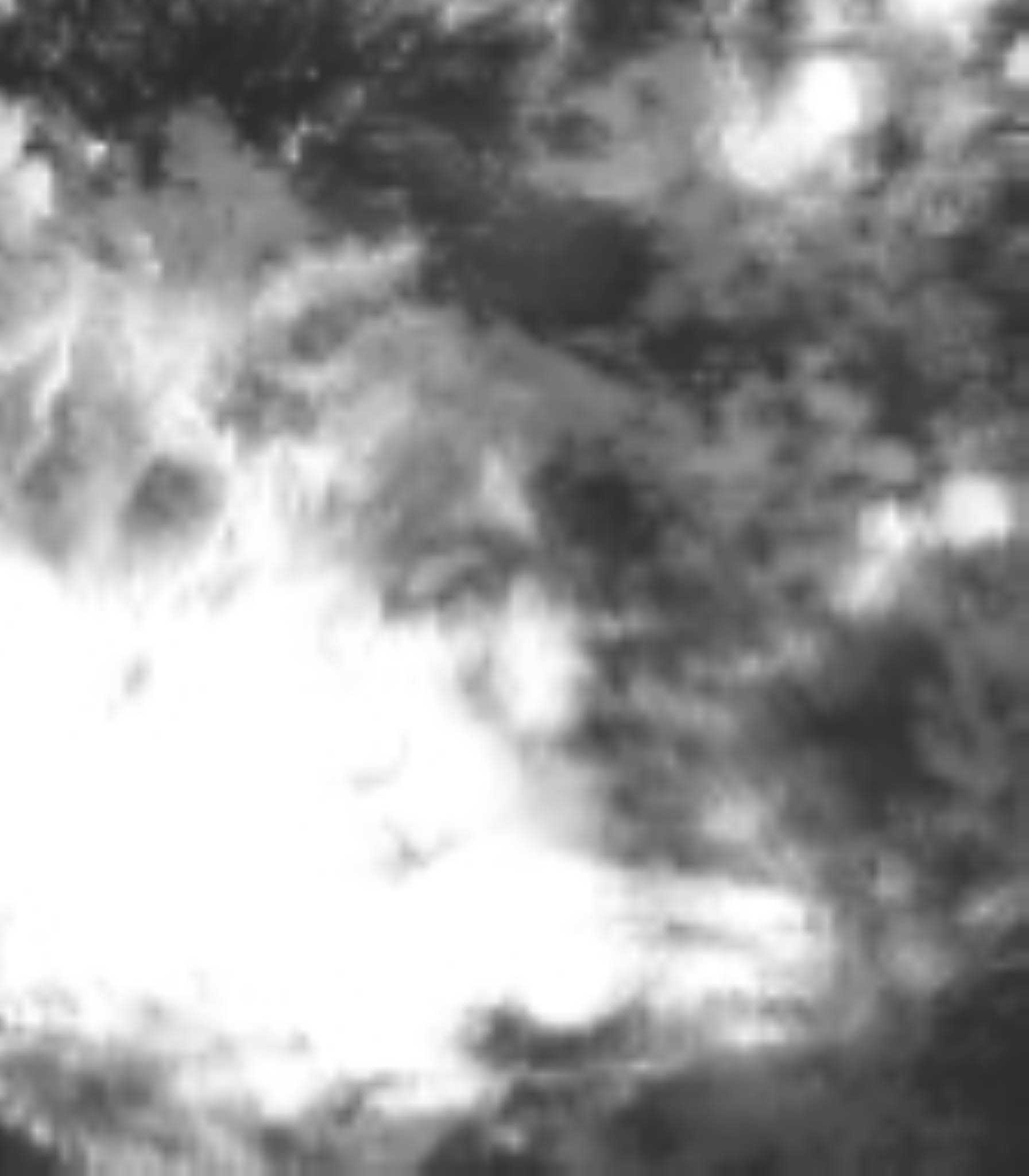 satLayer