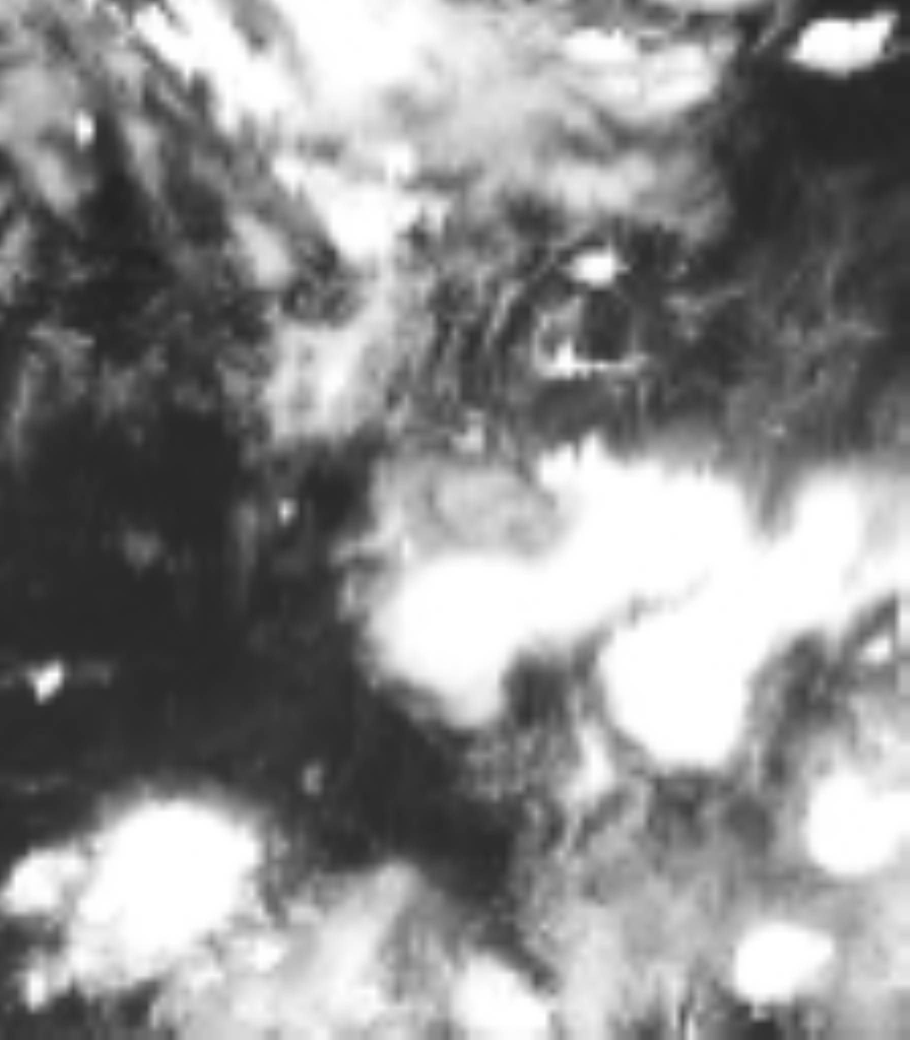 satLayer
