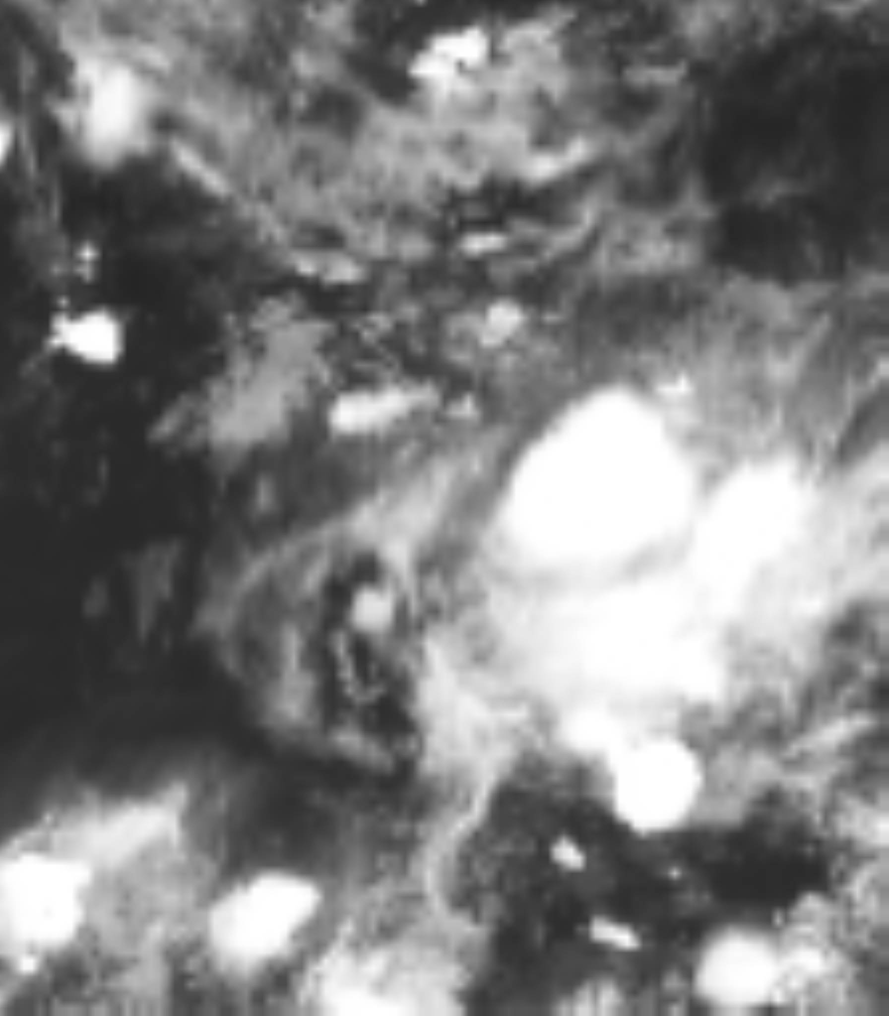 satLayer