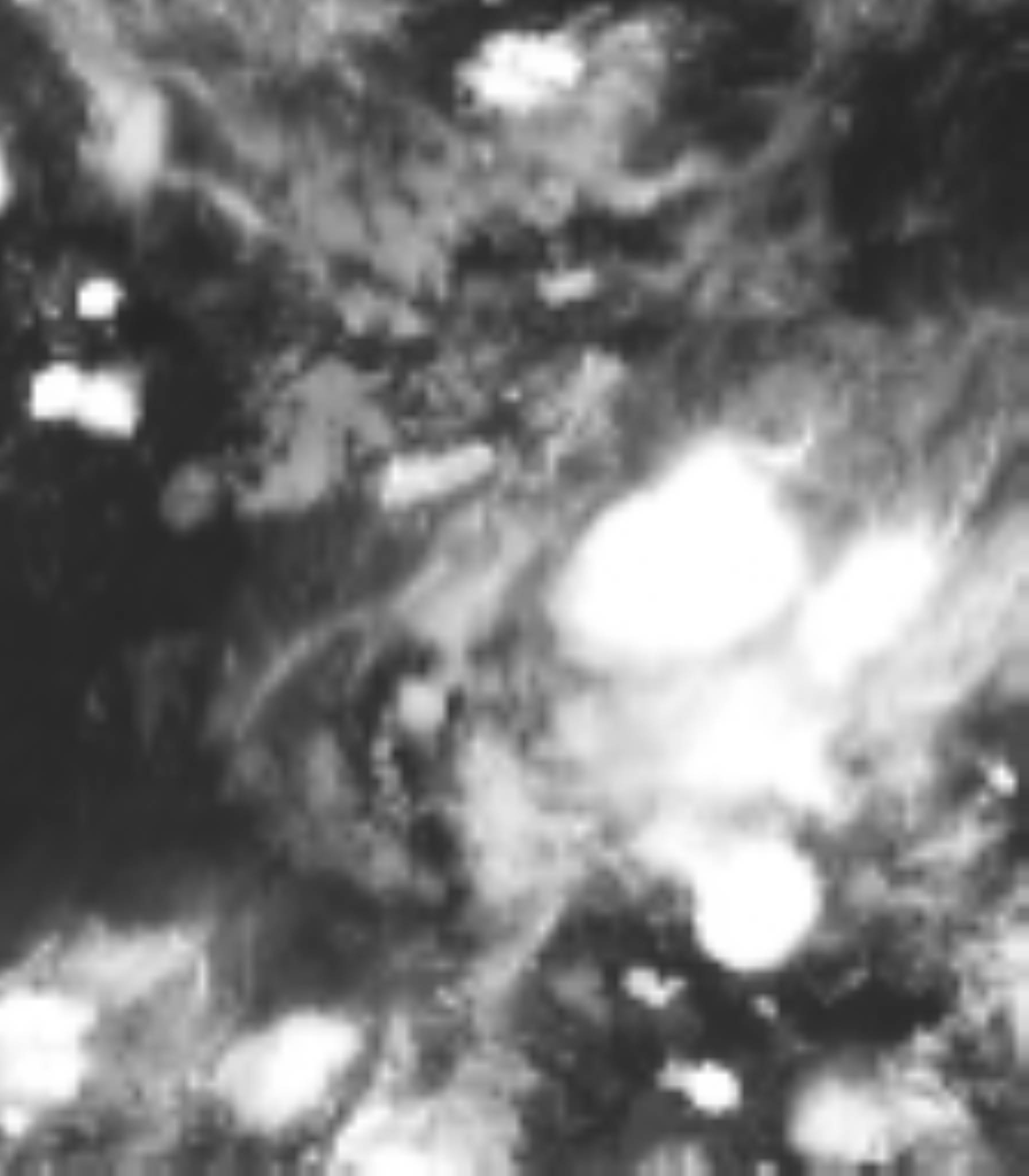 satLayer